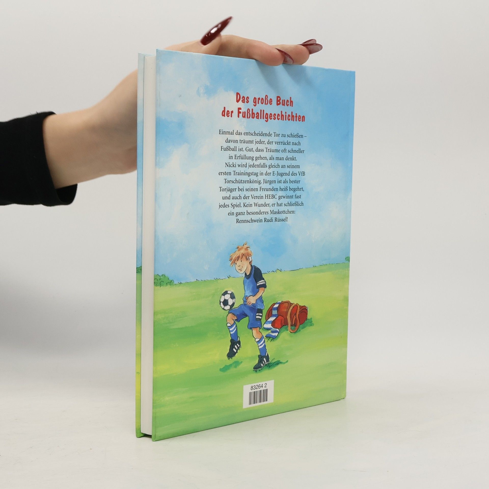 Autorenkollektiv Das große Buch der Fußballgeschichten