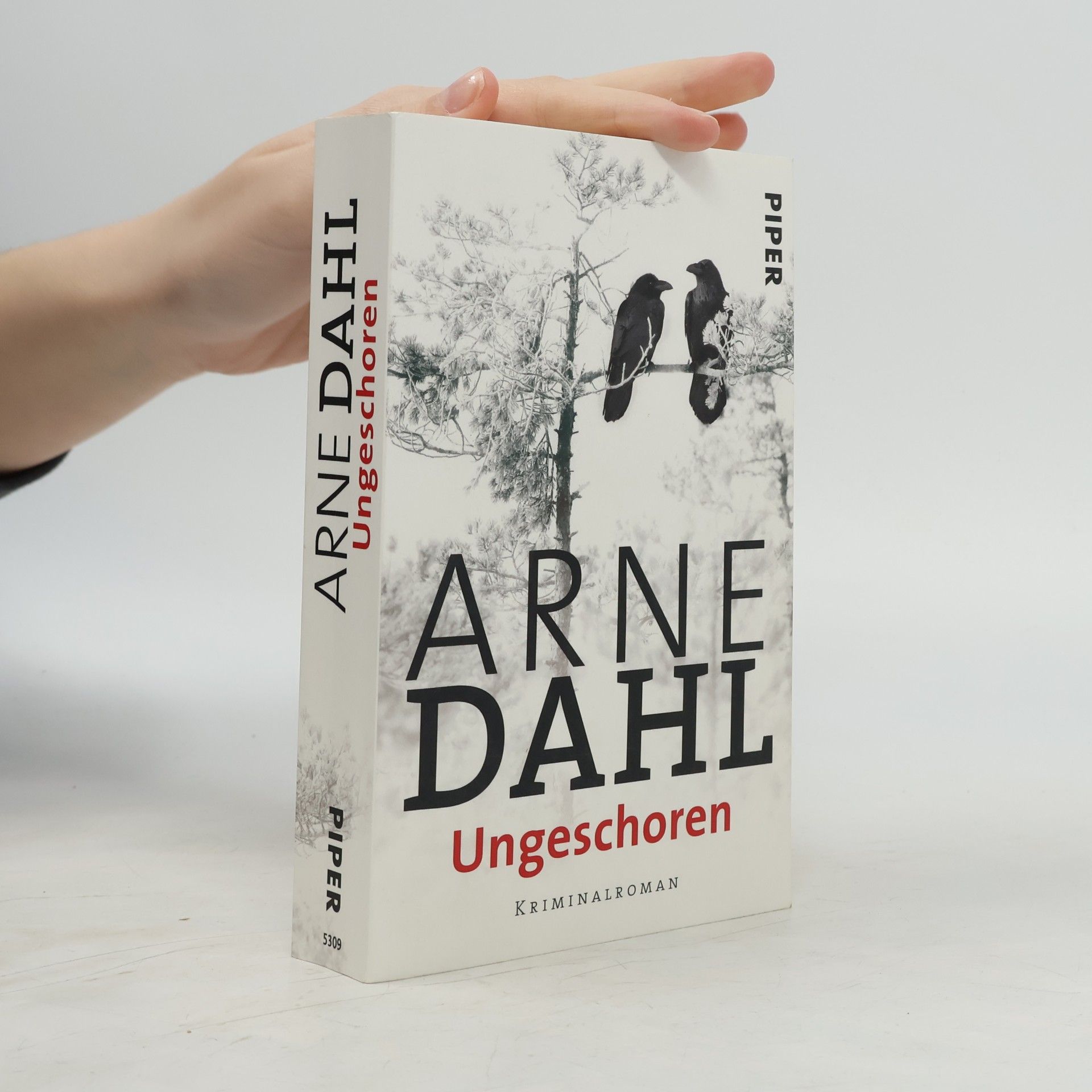 Arne Dahl Ungeschoren