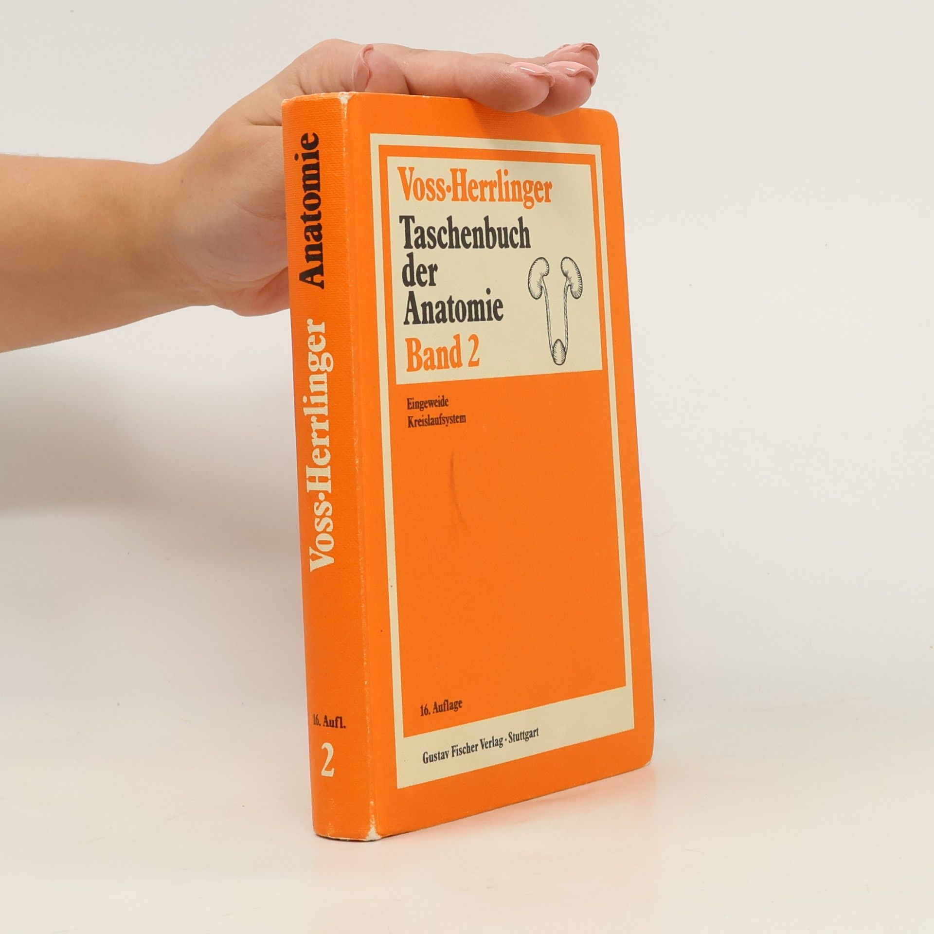 Taschenbuch der Anatomie