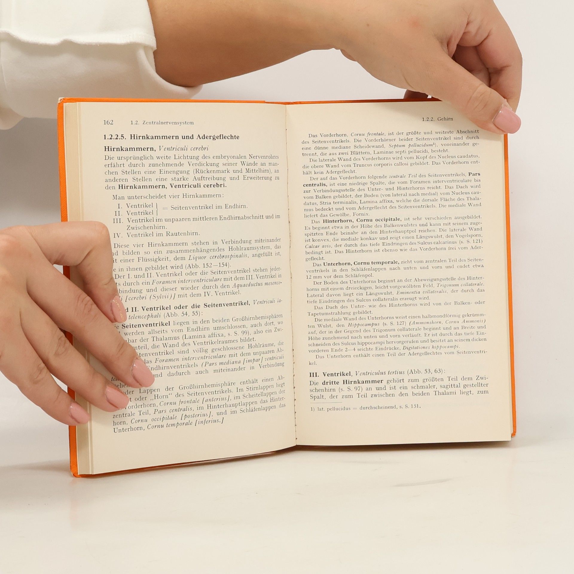 Hermann Voss Taschenbuch der Anatomie - 16. Auflage