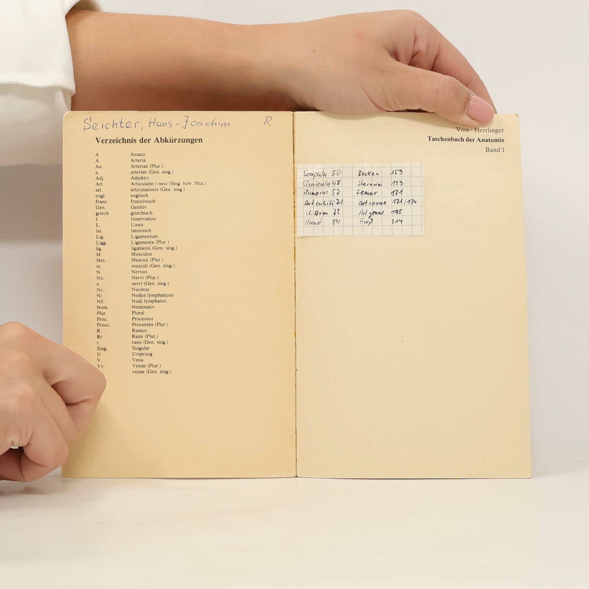 Voss Taschenbuch der Anatomie