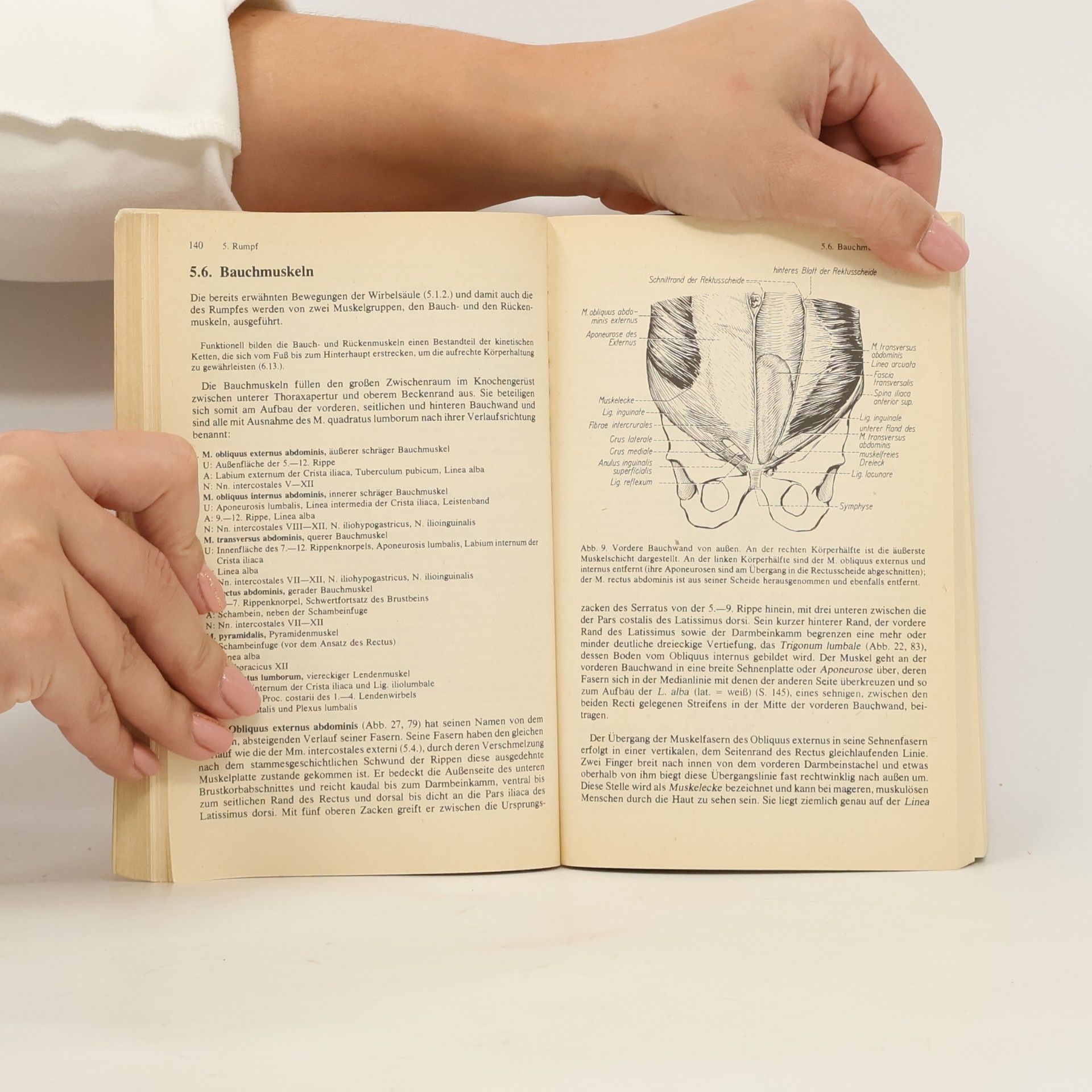 Voss Taschenbuch der Anatomie