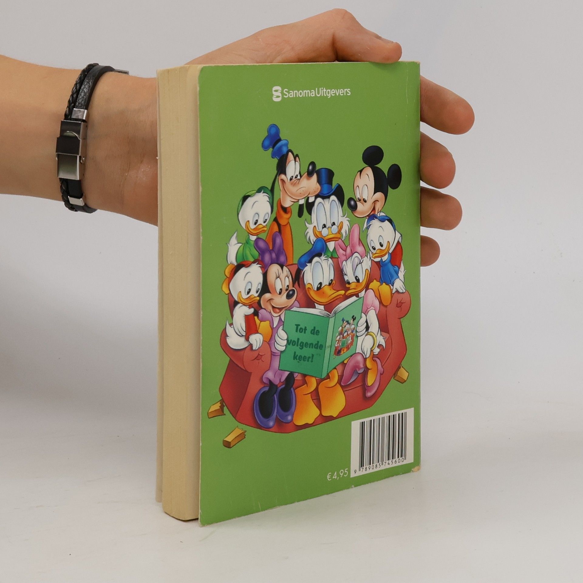 Een picknick vol verrassingen (Donald Duck pocket - 3e reeks, 162)