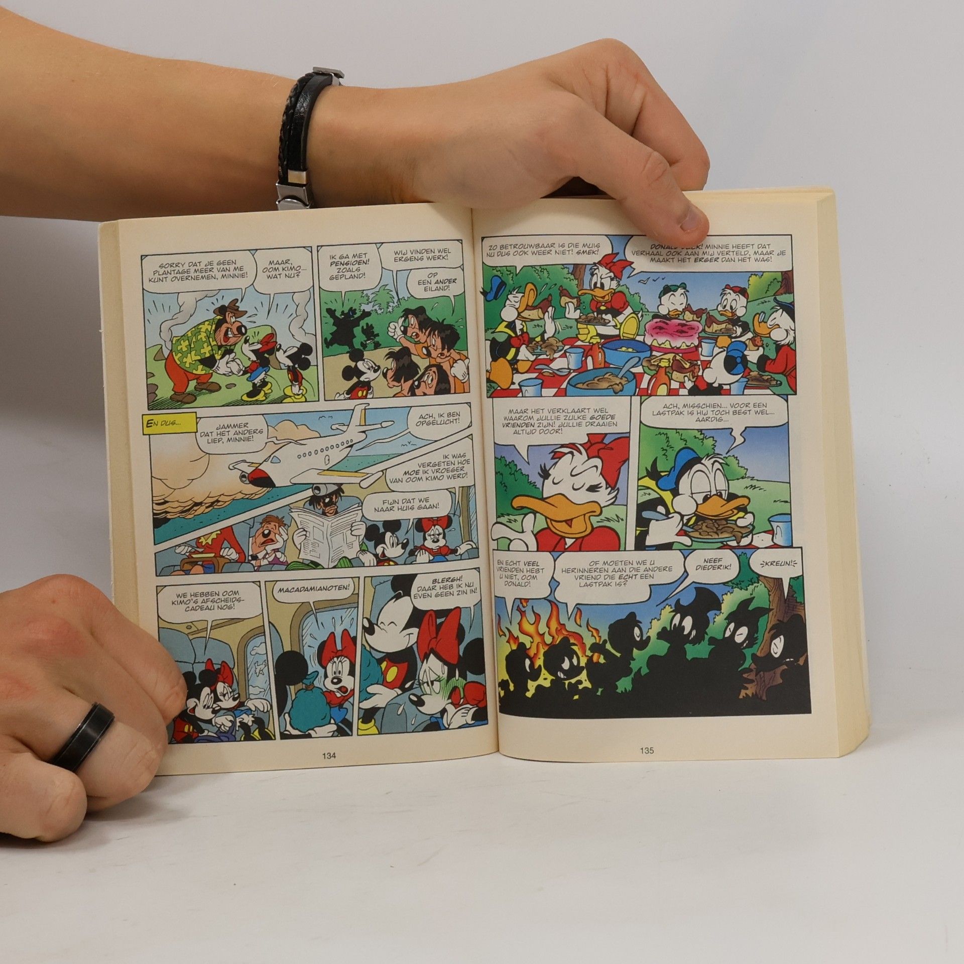 Een picknick vol verrassingen (Donald Duck pocket - 3e reeks, 162)