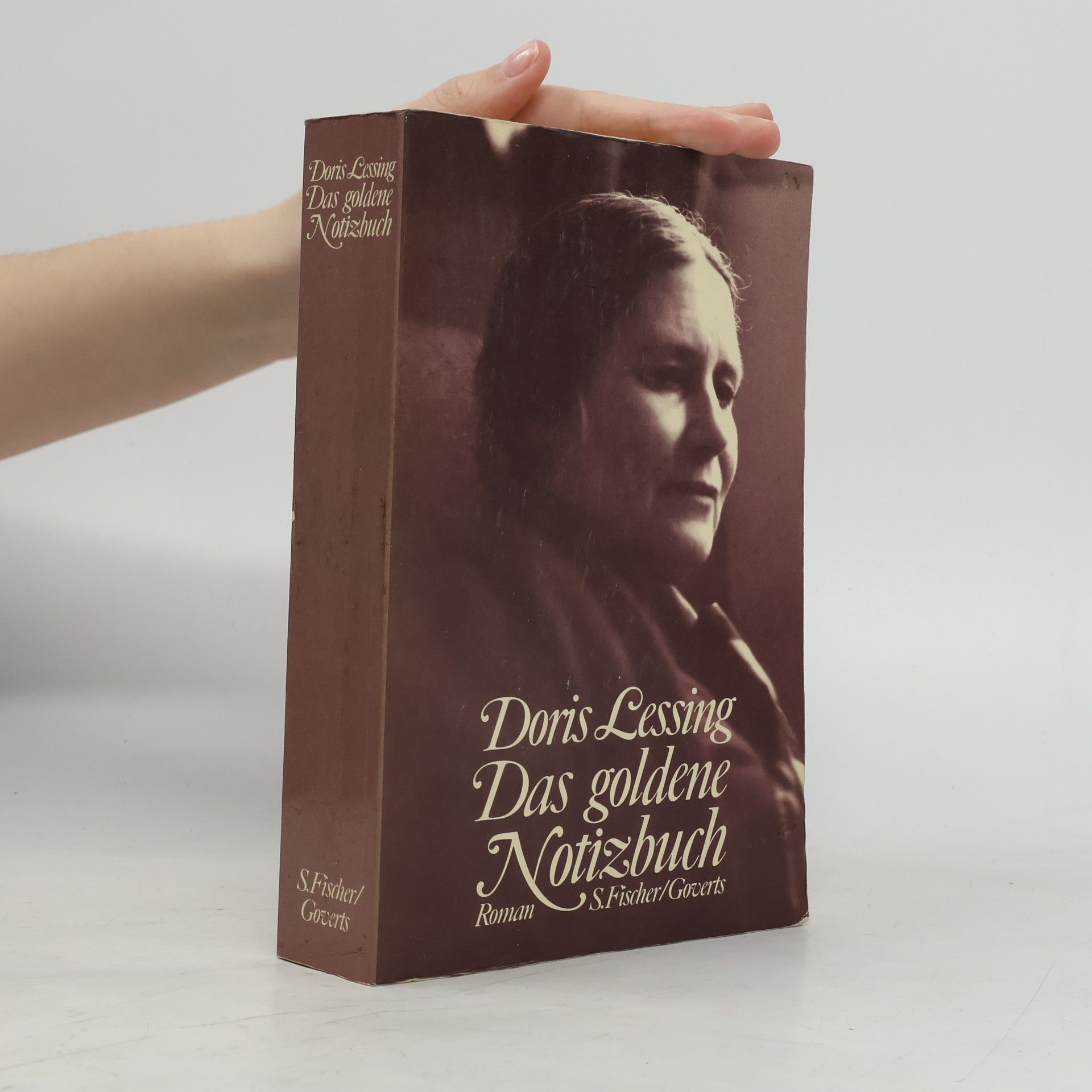 Doris Lessing Das goldene Notizbuch
