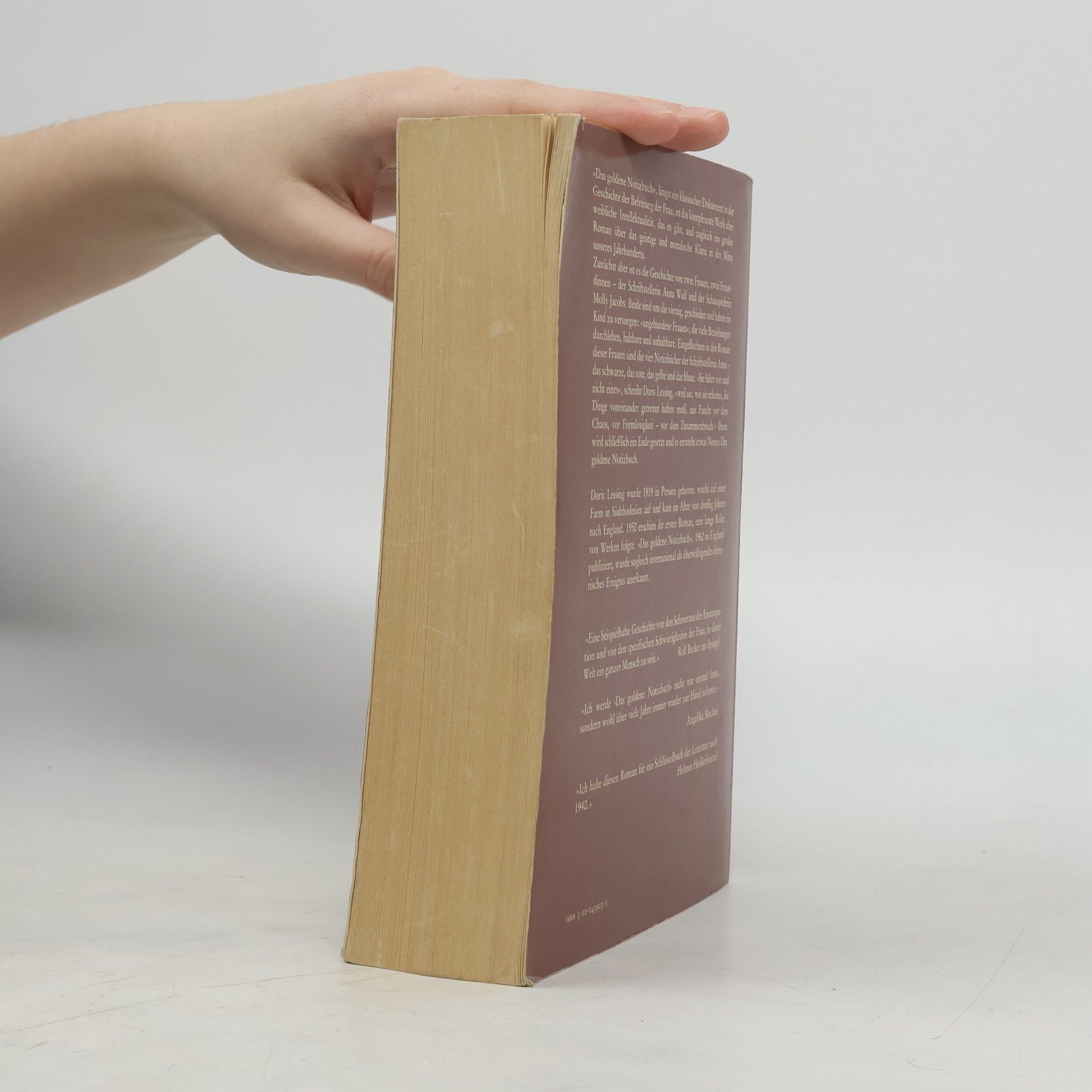 Doris Lessing Das goldene Notizbuch