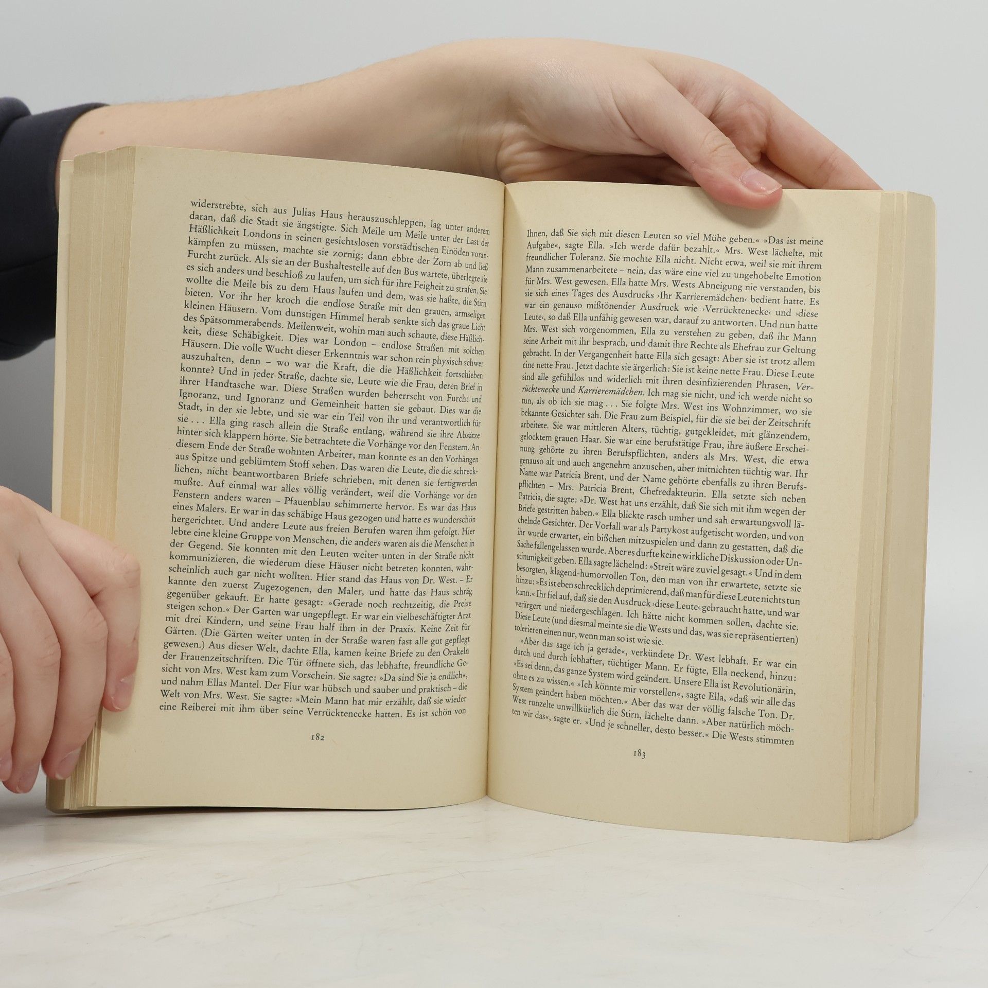 Doris Lessing Das goldene Notizbuch