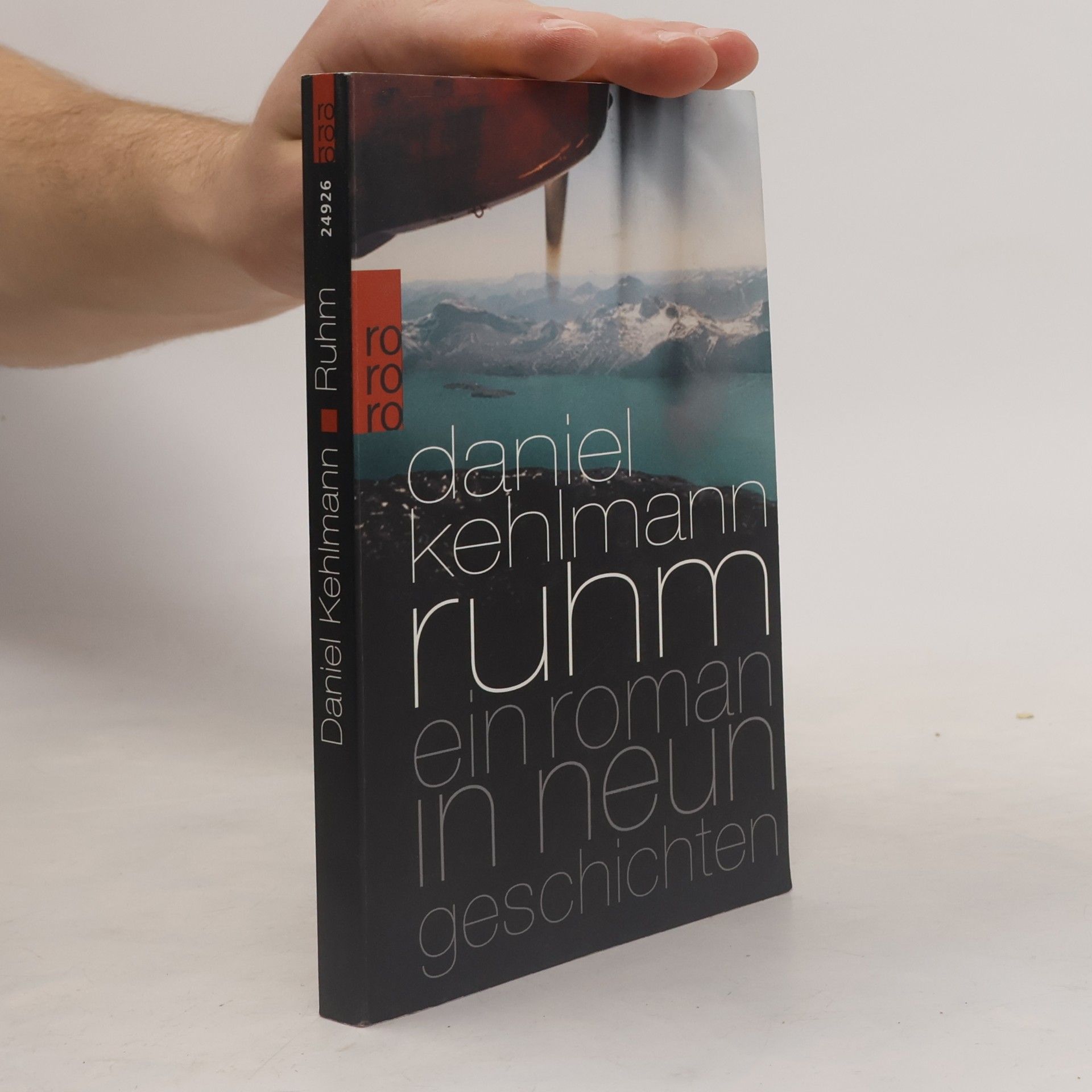 Ruhm ein Roman in neun Geschichten