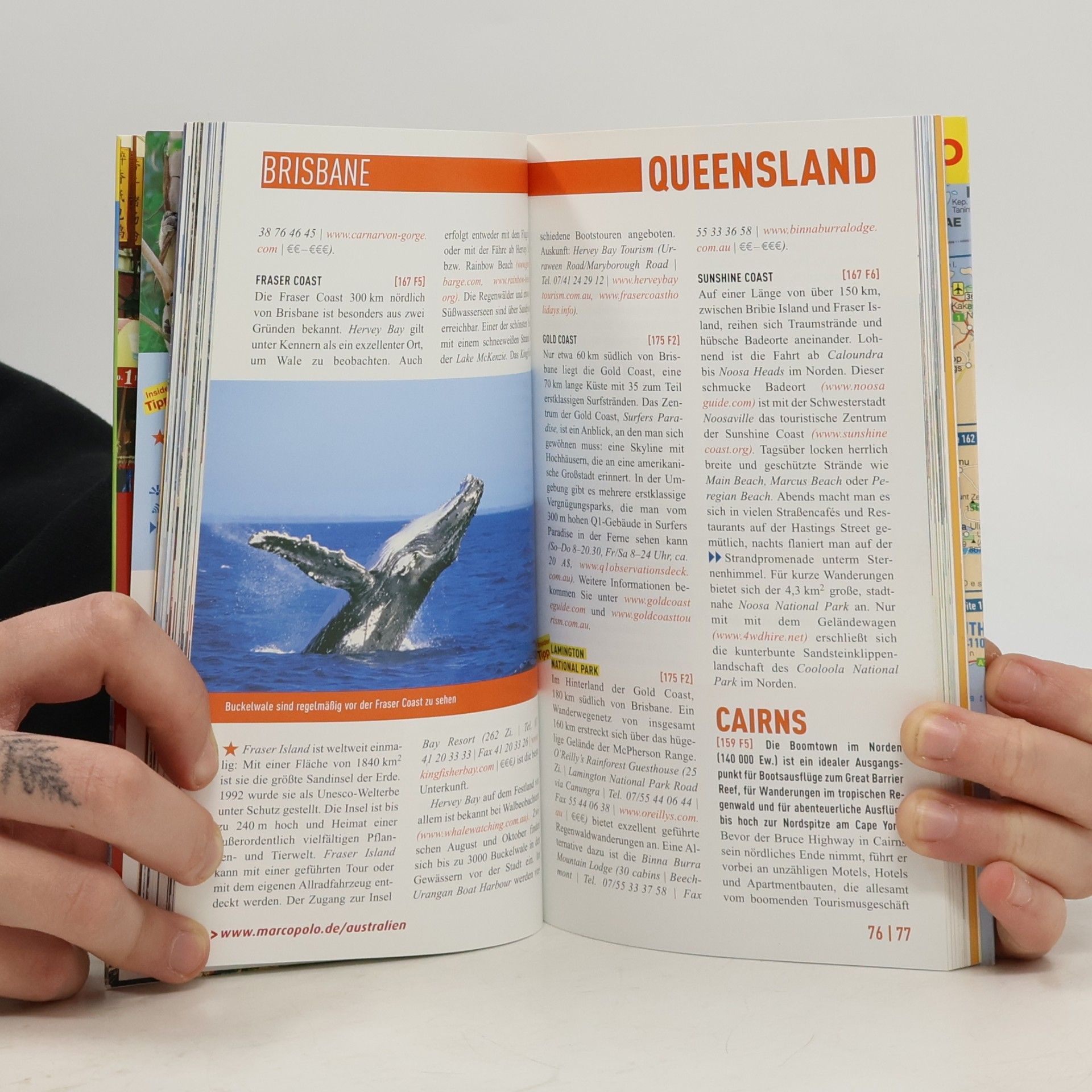 Autorenkollektiv Australien, Sydney