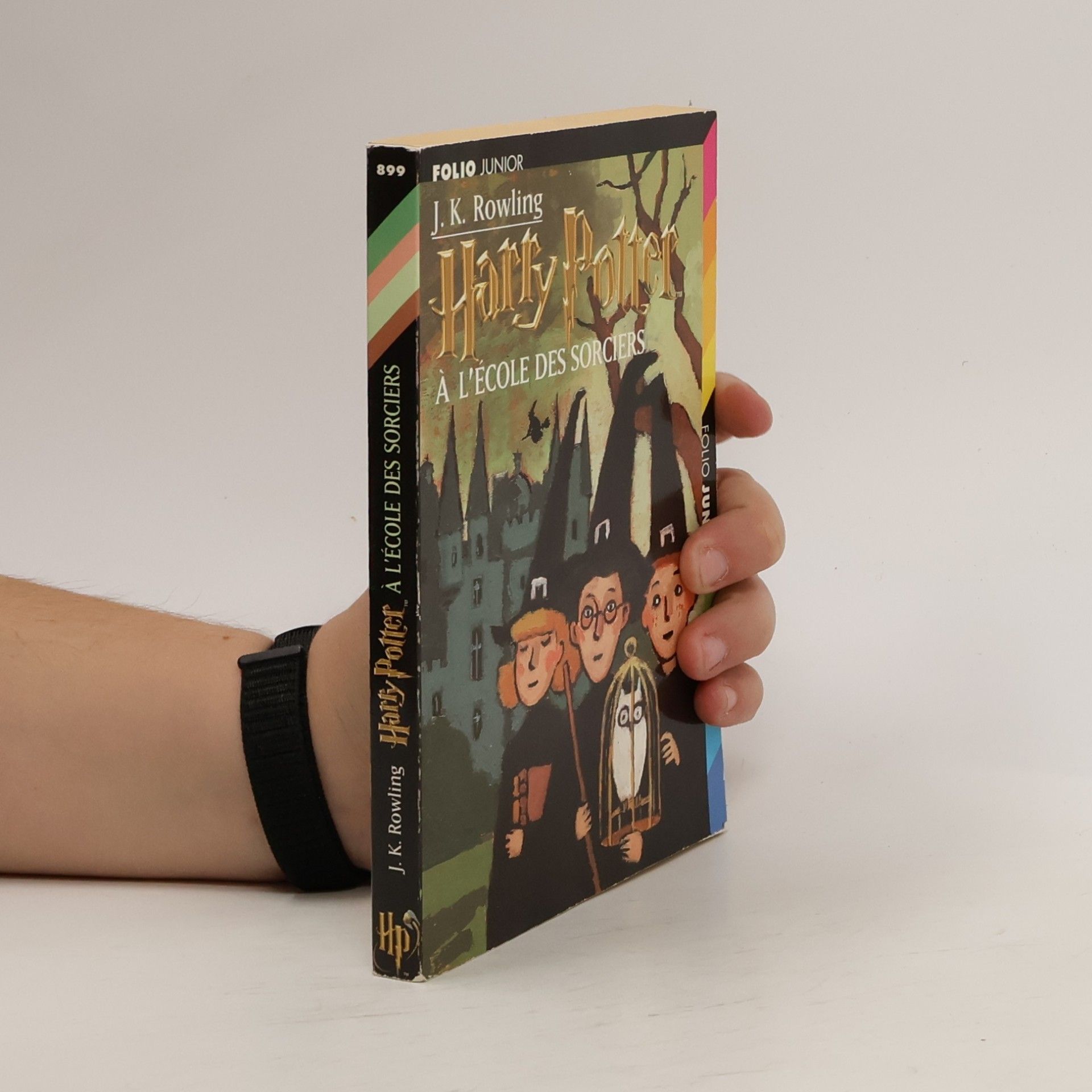 Harry Potter à l’école des sorciers