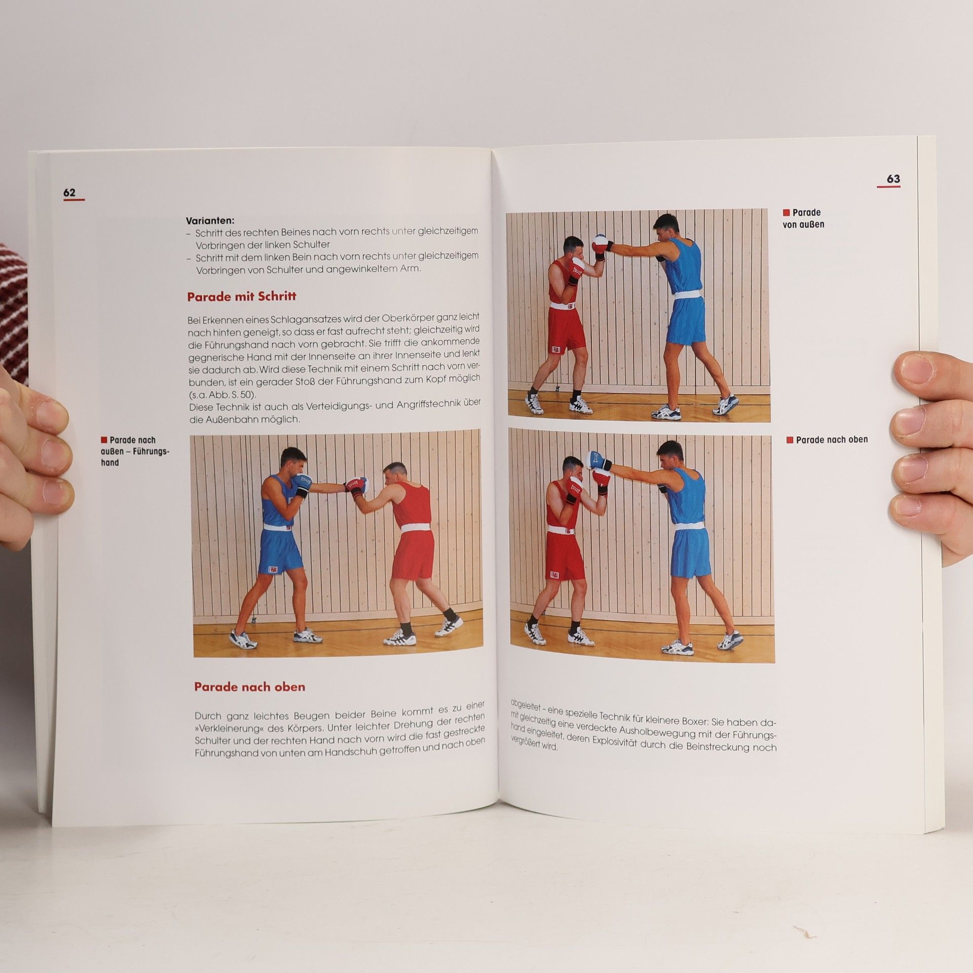 Siegfried Ellwanger Boxen basics