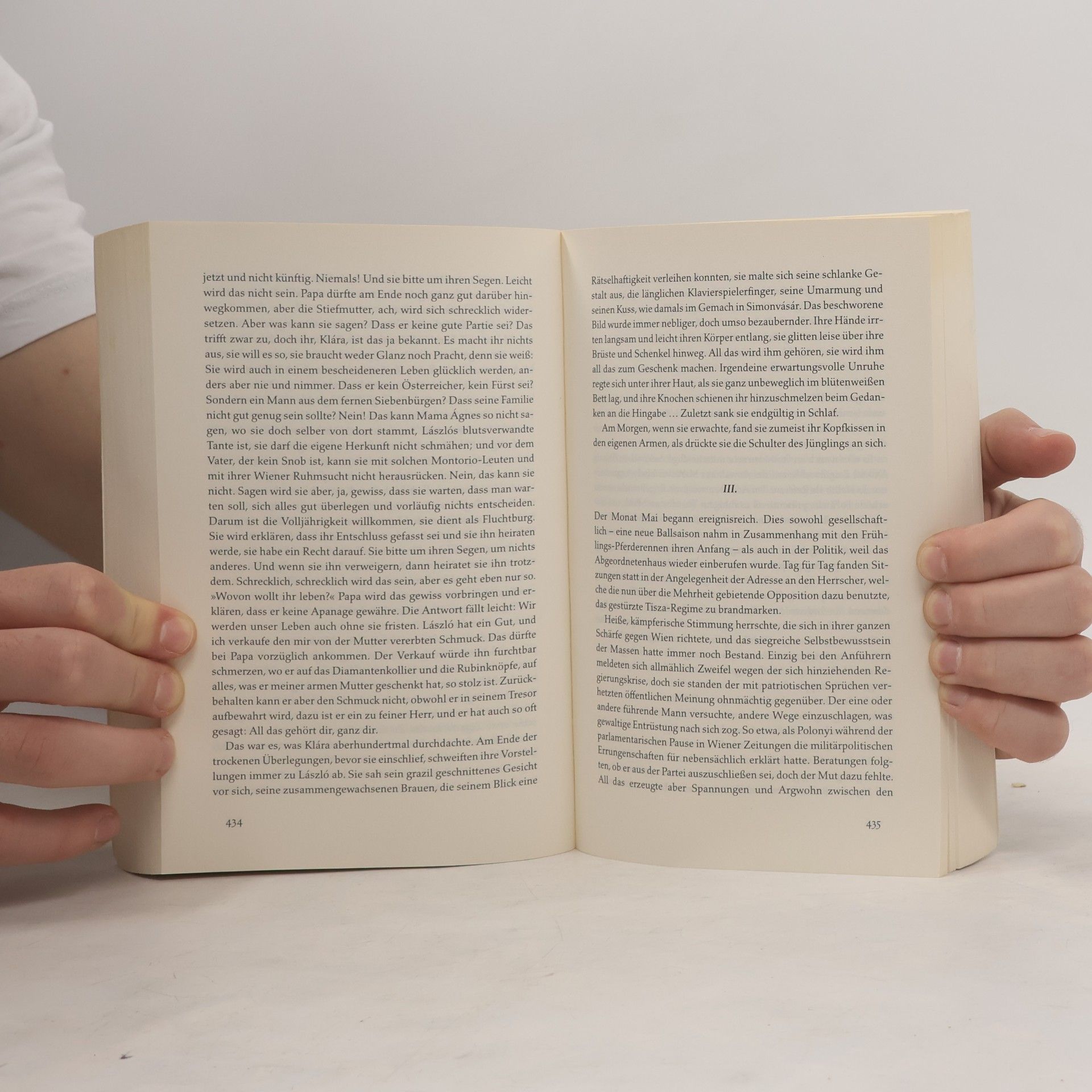 Miklós Bánffy Die Schrift in Flammen