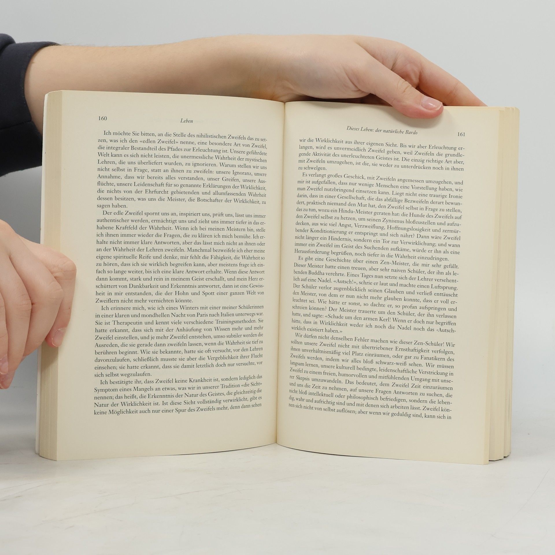 Sogyal Rinpoche Das tibetische Buch vom Leben und vom Sterben