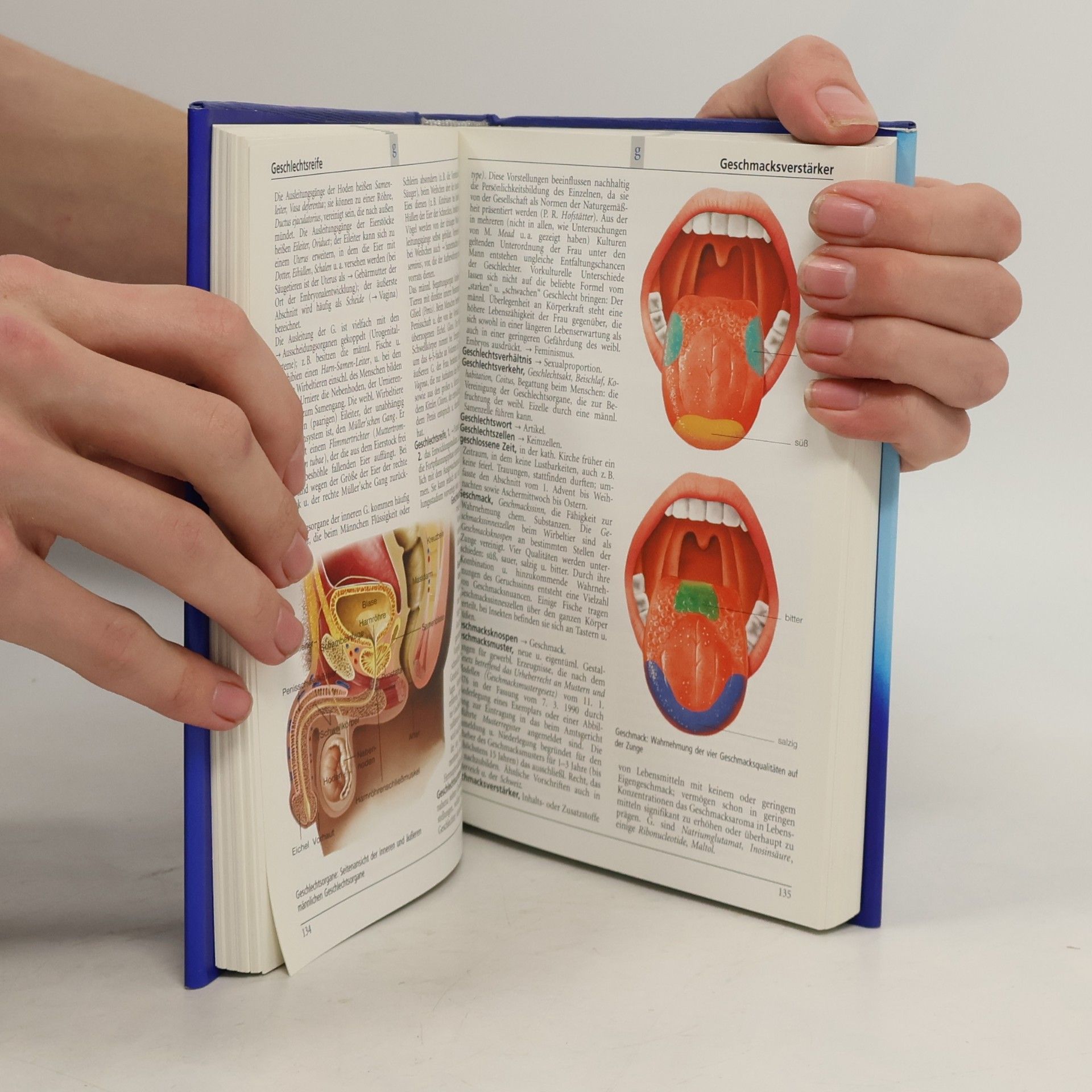 Various authors Das neue Bertelsmann Lexikon. Multimedial 8