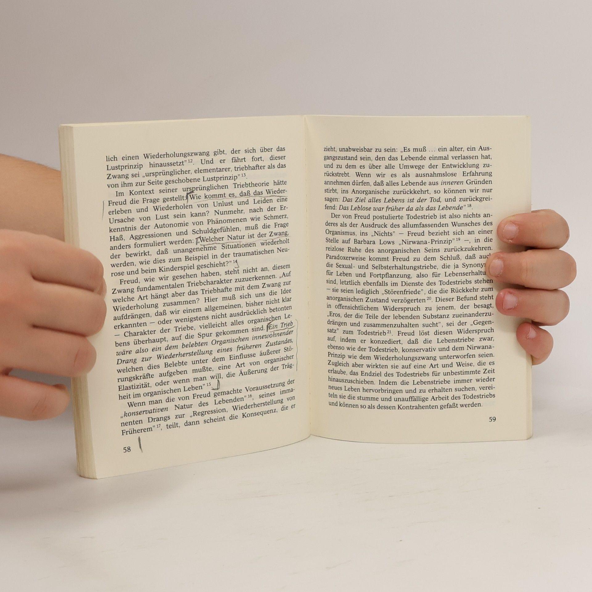 Hans-Martin Lohmann Freud zur Einführung