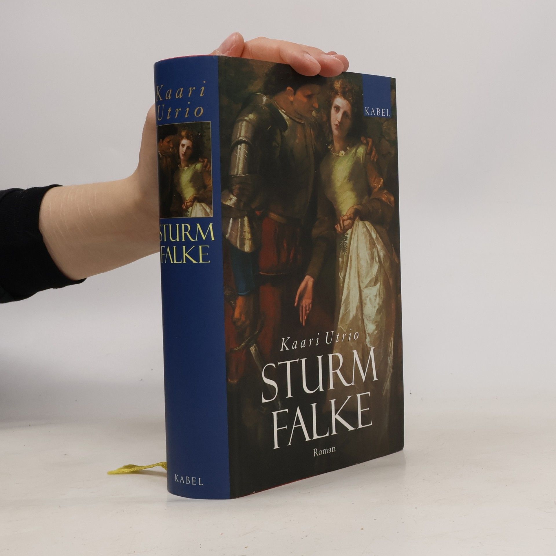 Sturmfalke. Roman