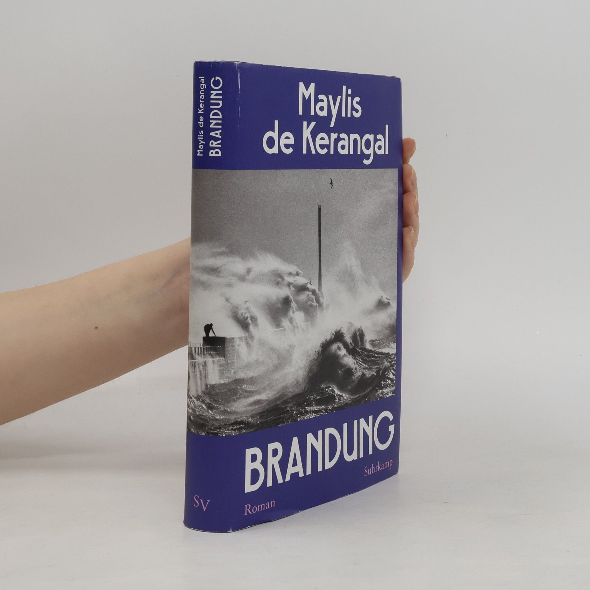 Brandung