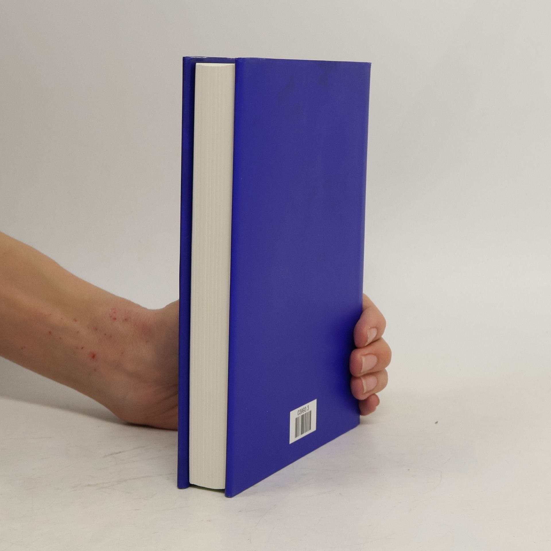 Various authors Das neue Bertelsmann Lexikon. Multimedial 19