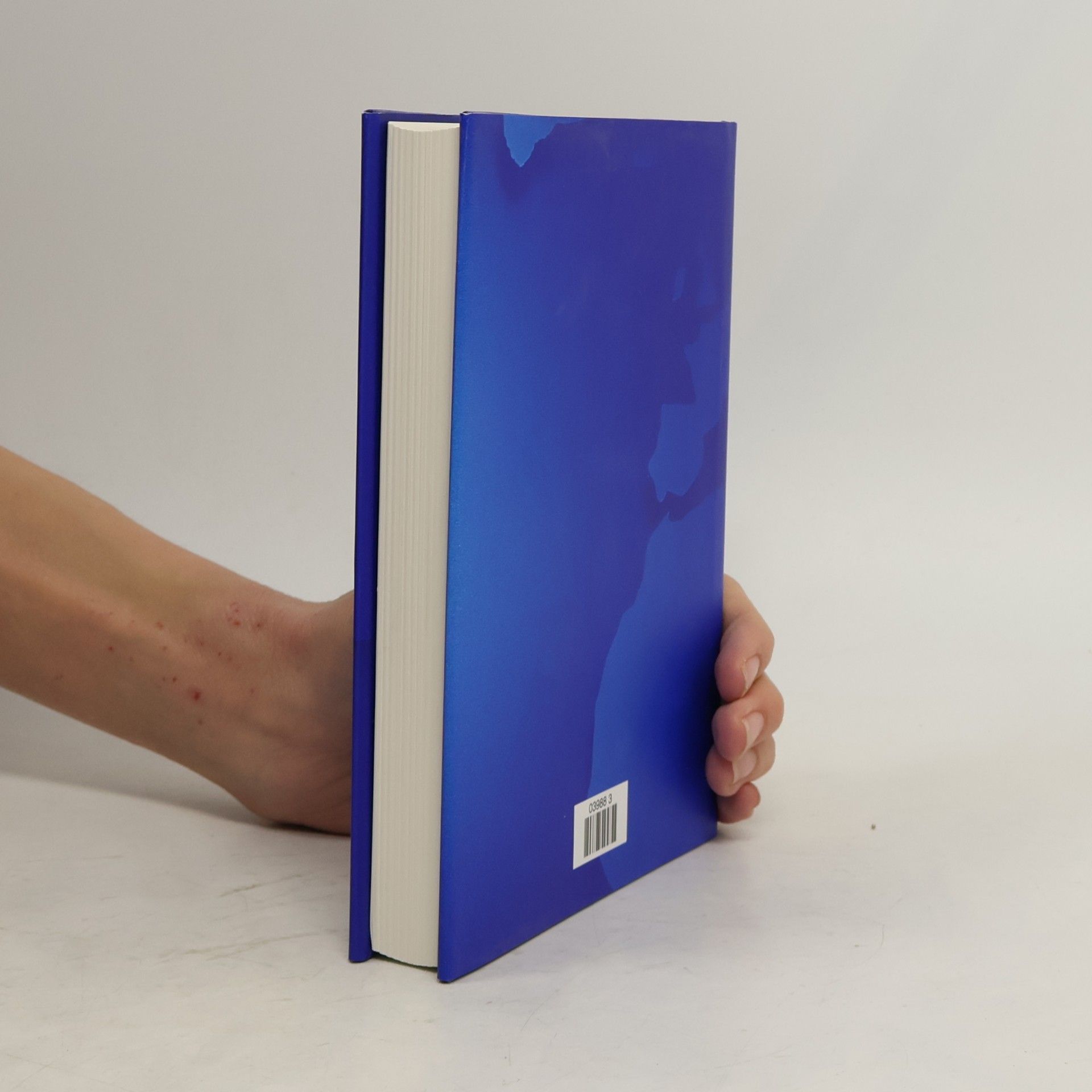 Various authors Das neue Bertelsmann Lexikon. Multimedial 14