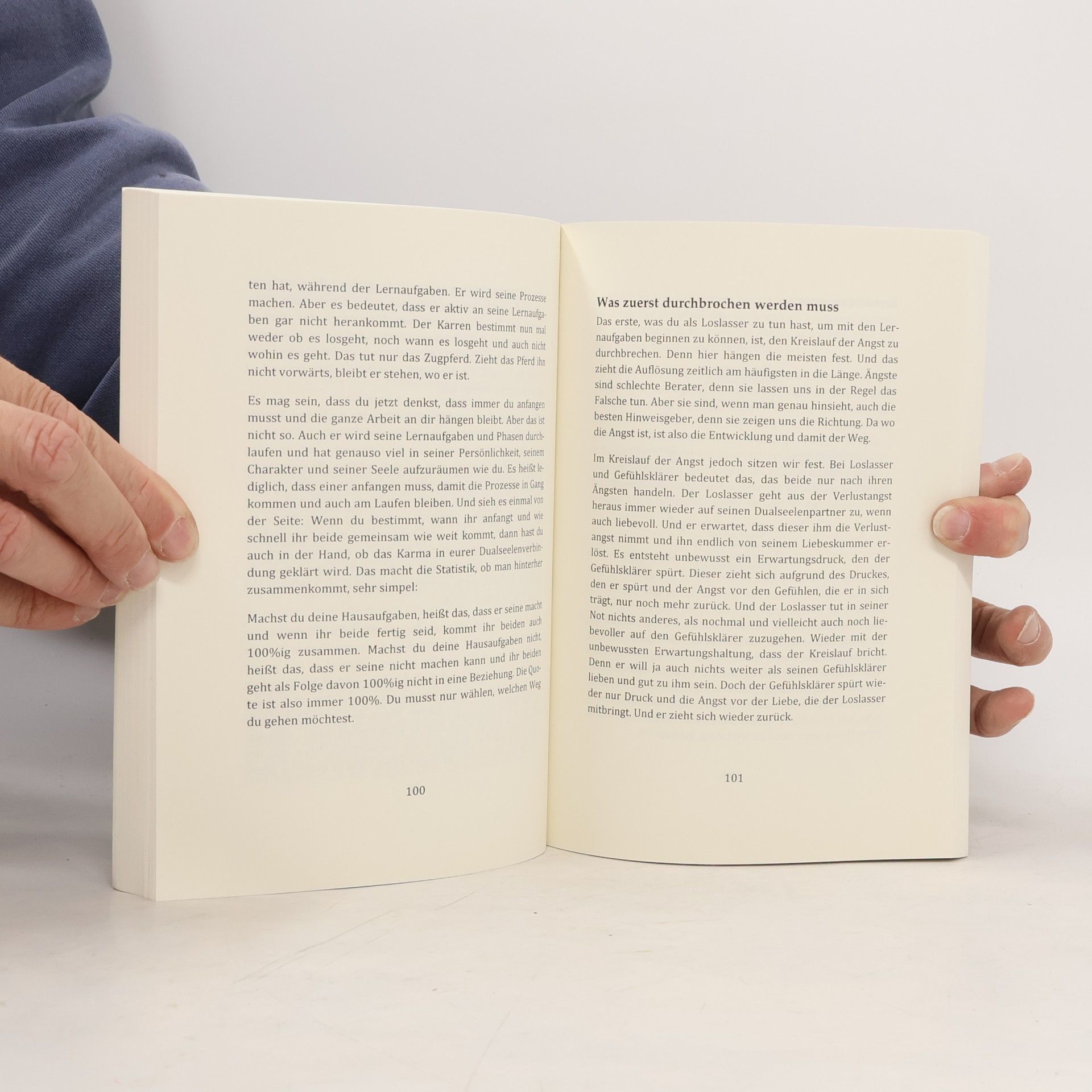 Ricarda Sagehorn Dualseelen & die Liebe