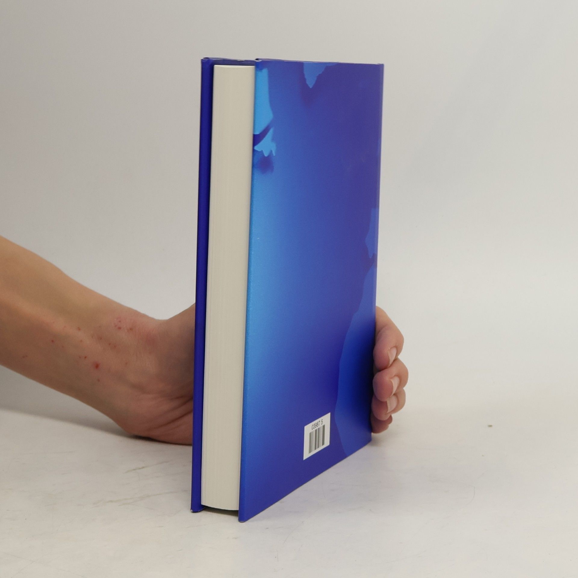 Various authors Das neue Bertelsmann Lexikon. Multimedial 13