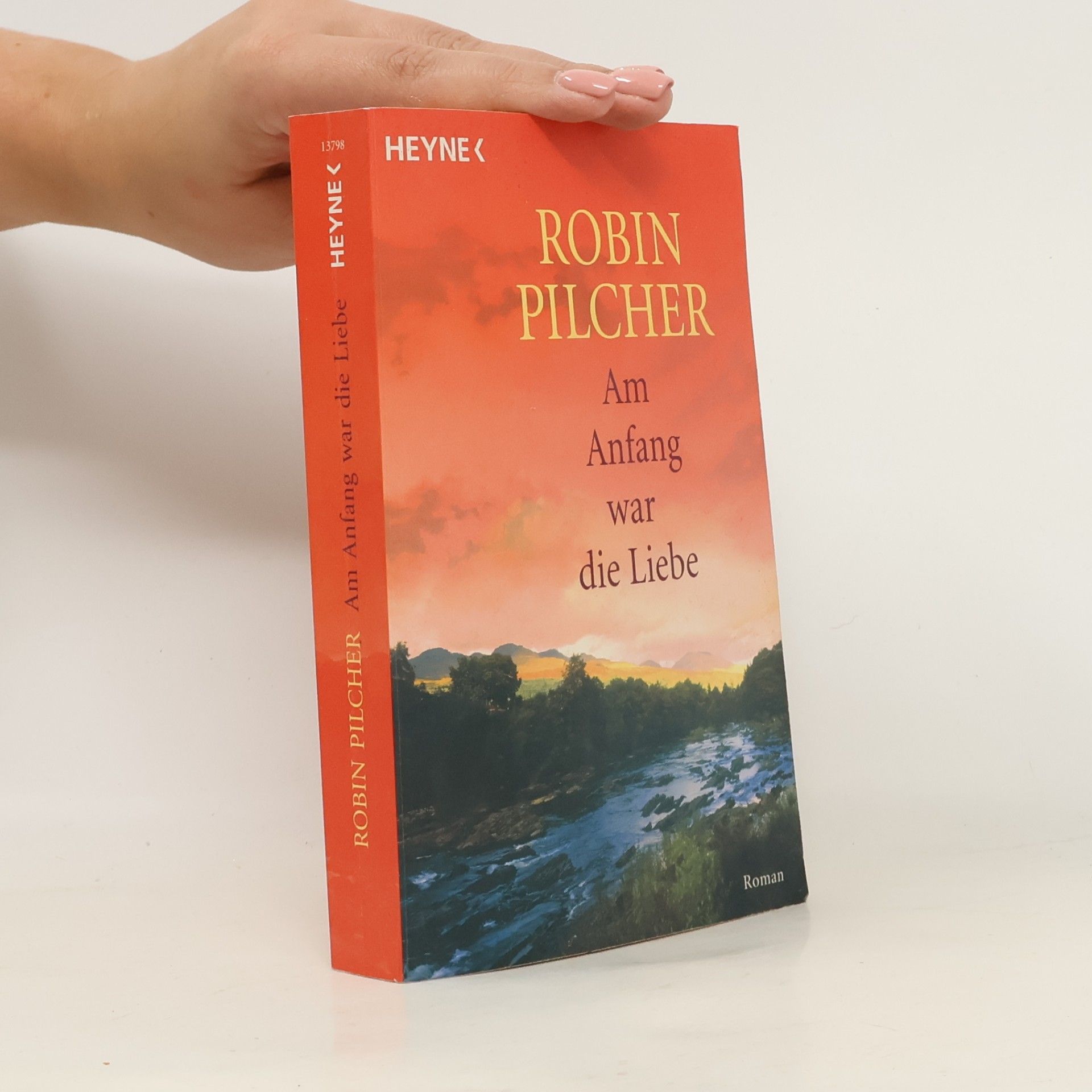 Robin Pilcher Am Anfang war die Liebe