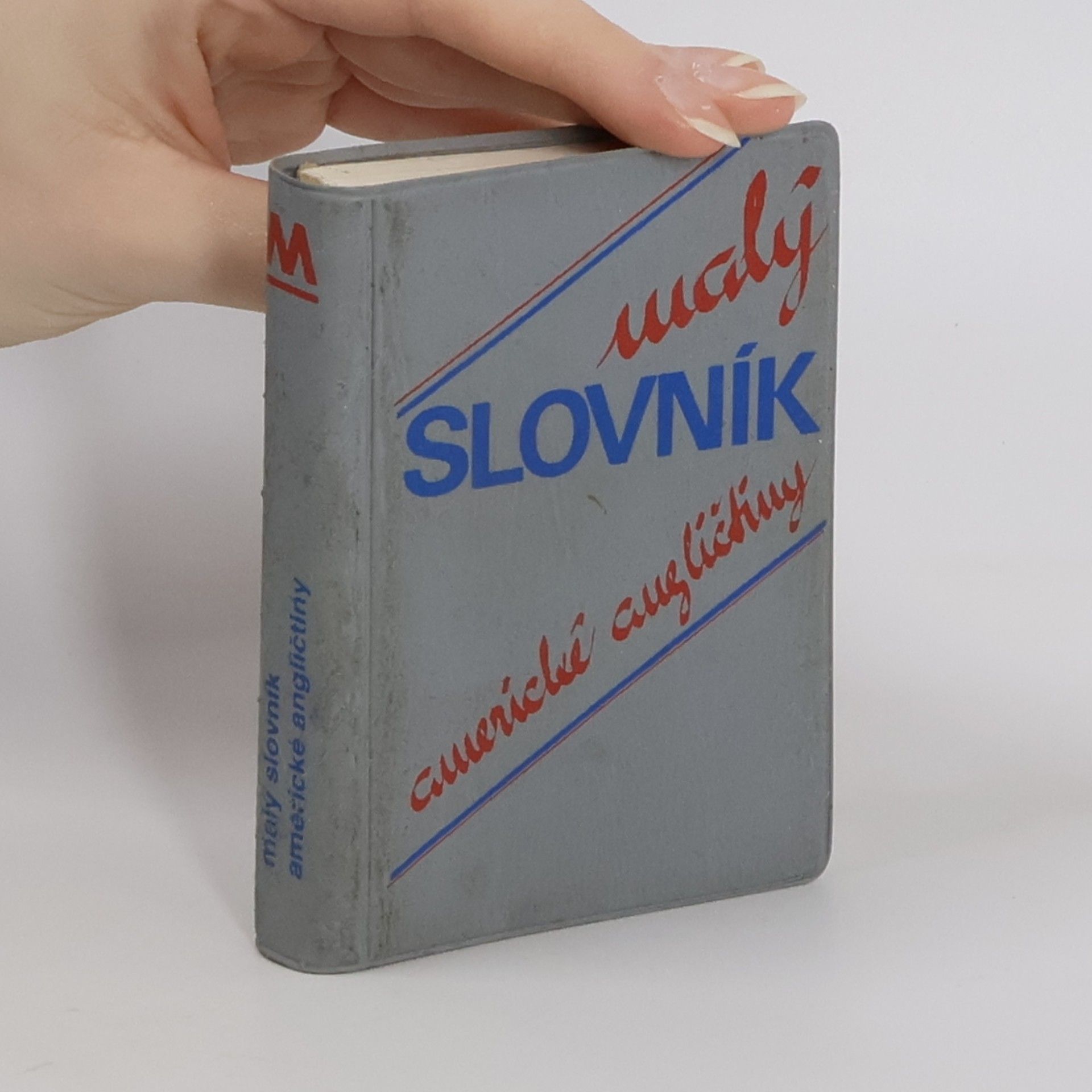 Malý slovník americké angličtiny