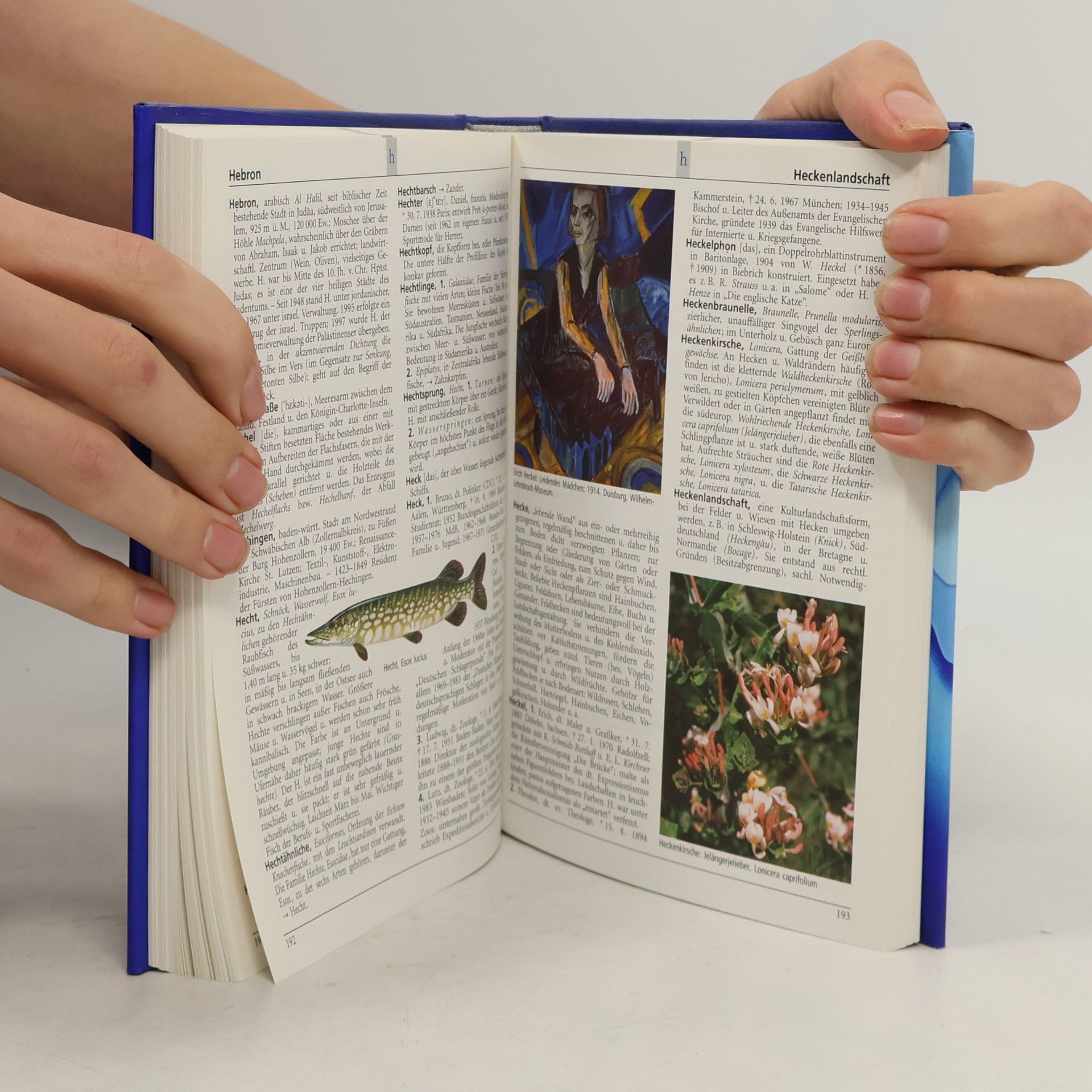 Various authors Das neue Bertelsmann Lexikon. Multimedial 9