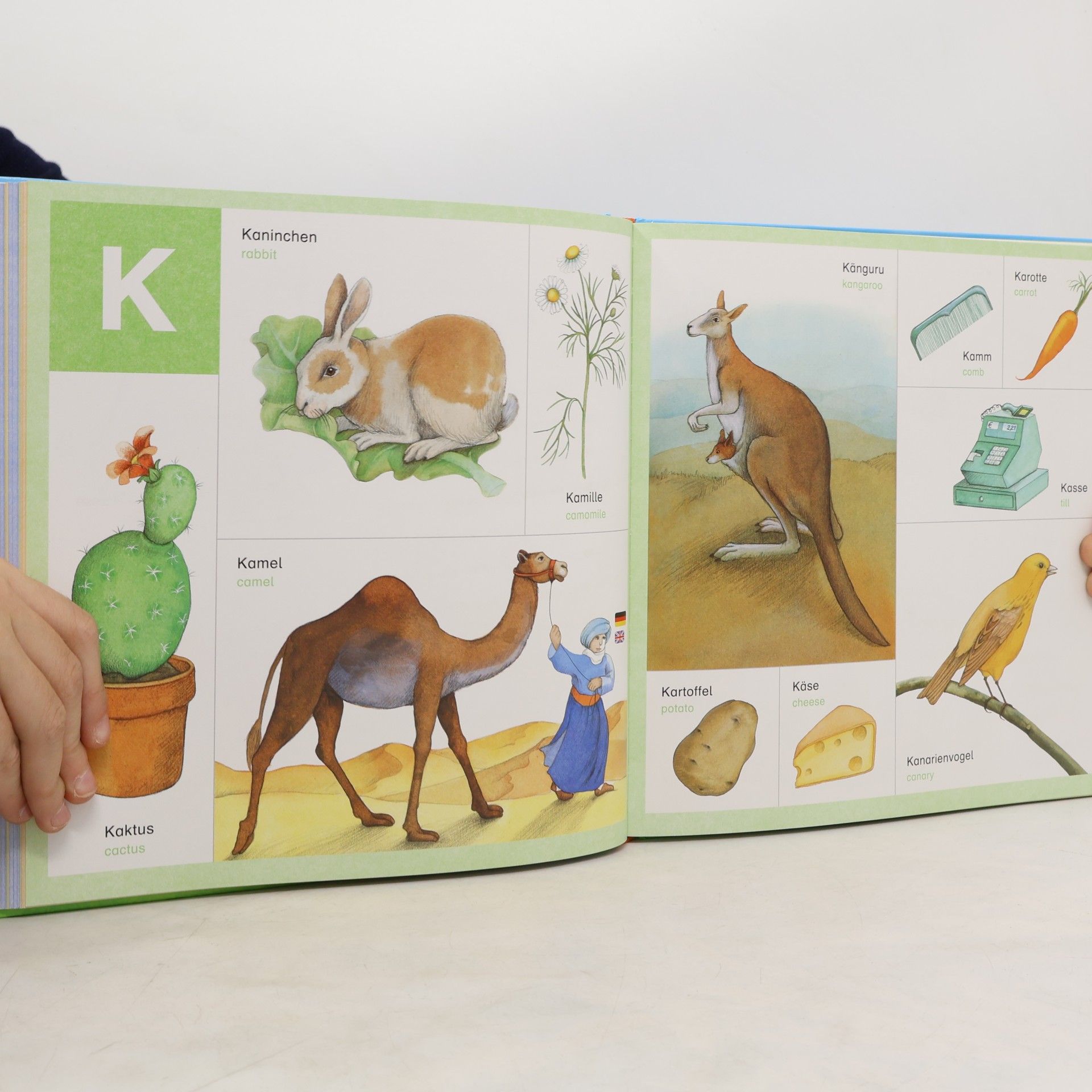 Autorenkollektiv Mein erster Hör-Brockhaus