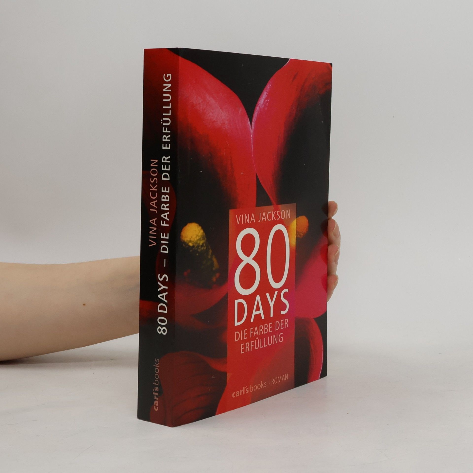 80 Days - Die Farbe der