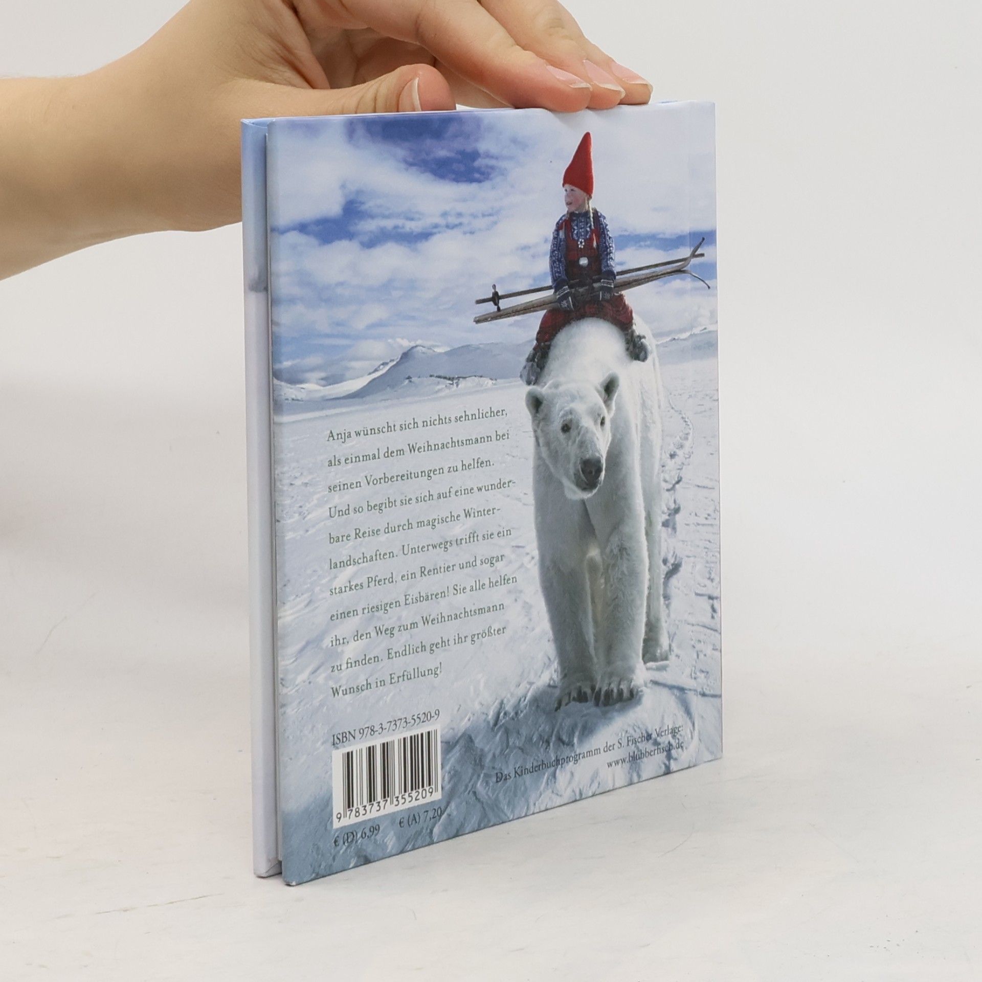 Lori Evert Die wunderbare Weihnachtsreise