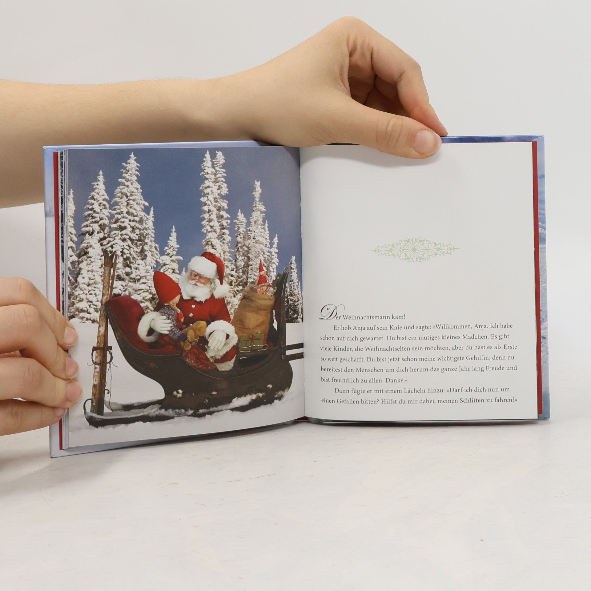 Lori Evert Die wunderbare Weihnachtsreise