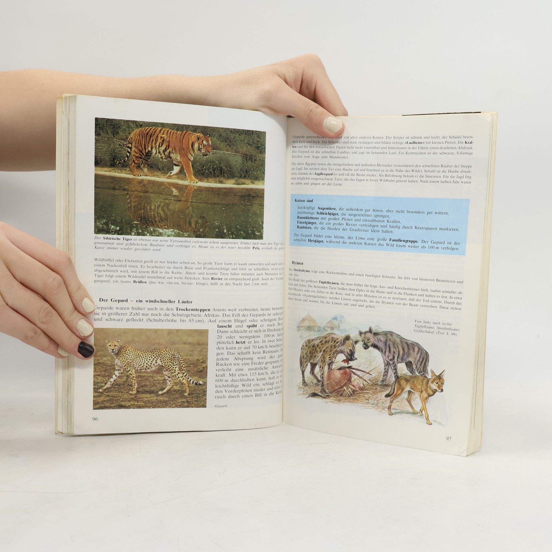 Autorenkollektiv Biologie und Umweltkunde 1