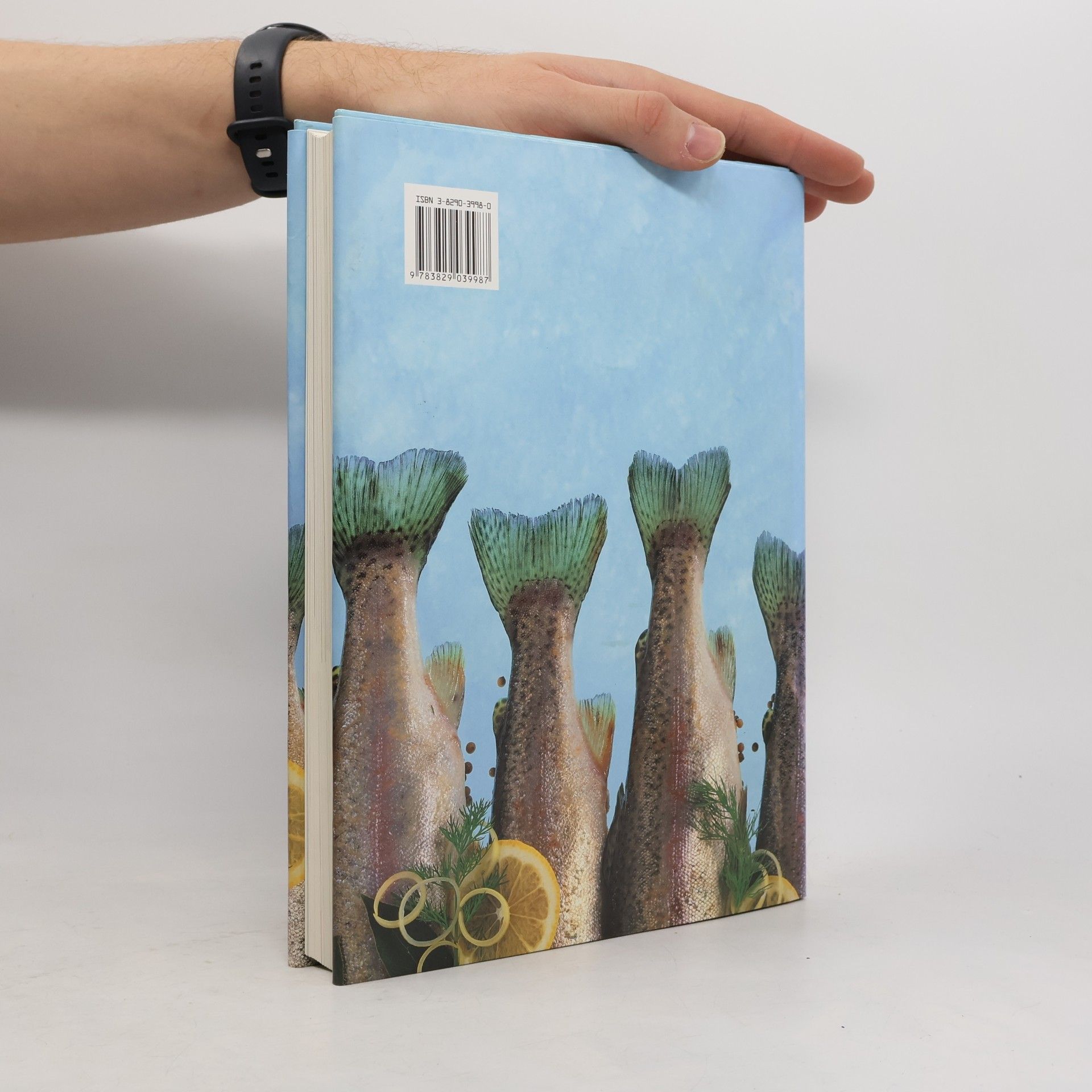 Kolektív autorov Das grosse Kochbuch der Fische & Meeresfrüchte