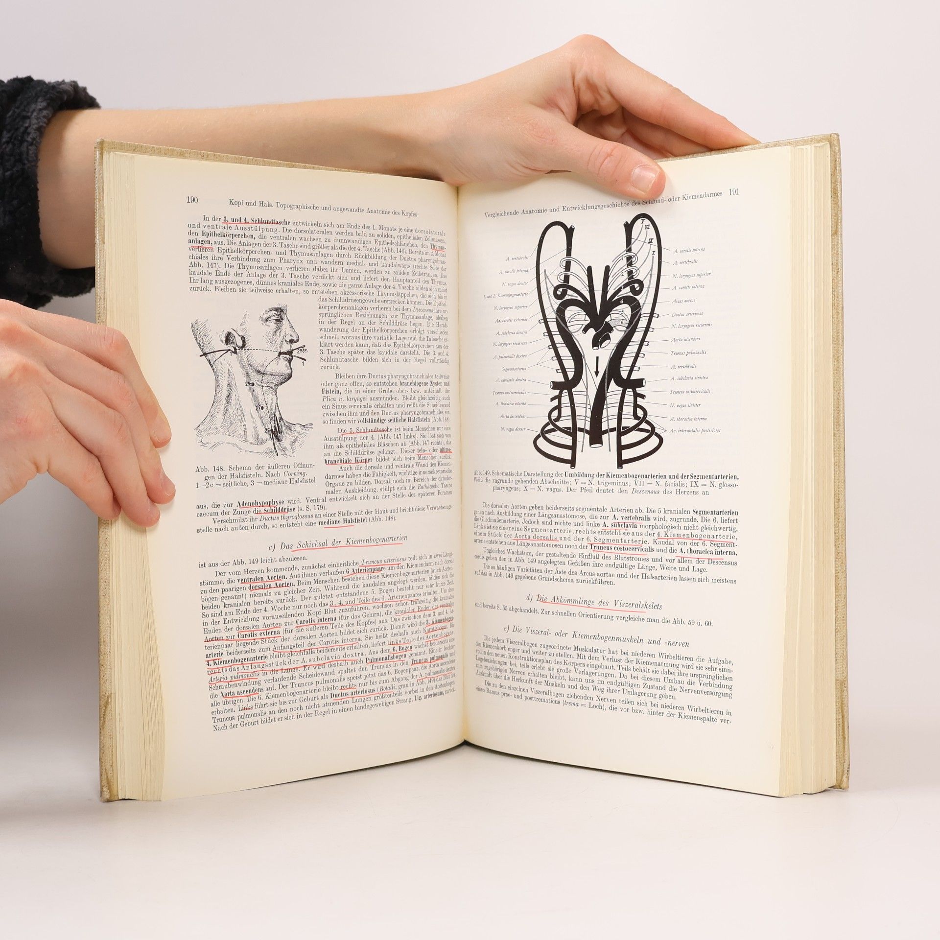 Anton Waldeyer Anatomie des Menschen 2
