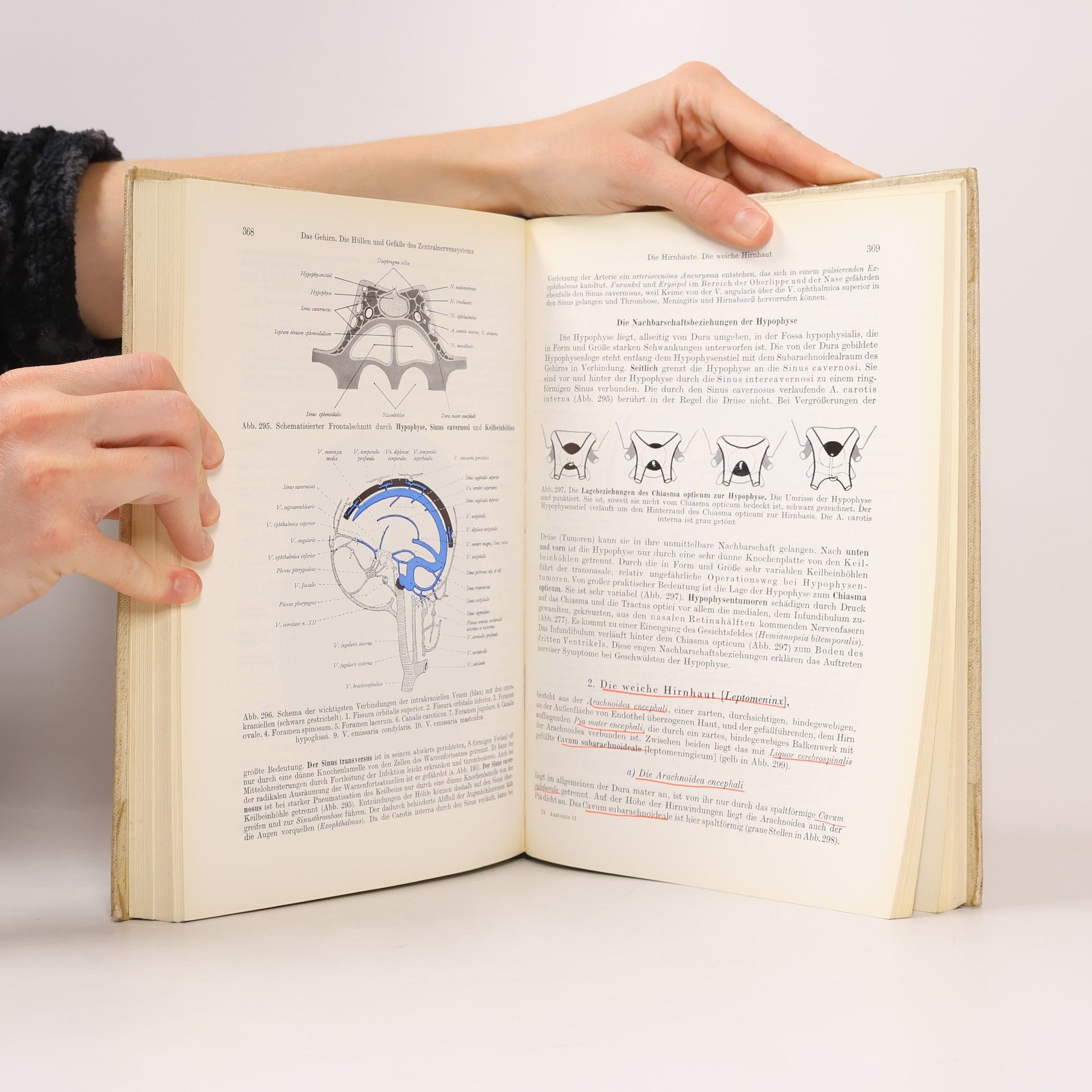 Anton Waldeyer Anatomie des Menschen 2