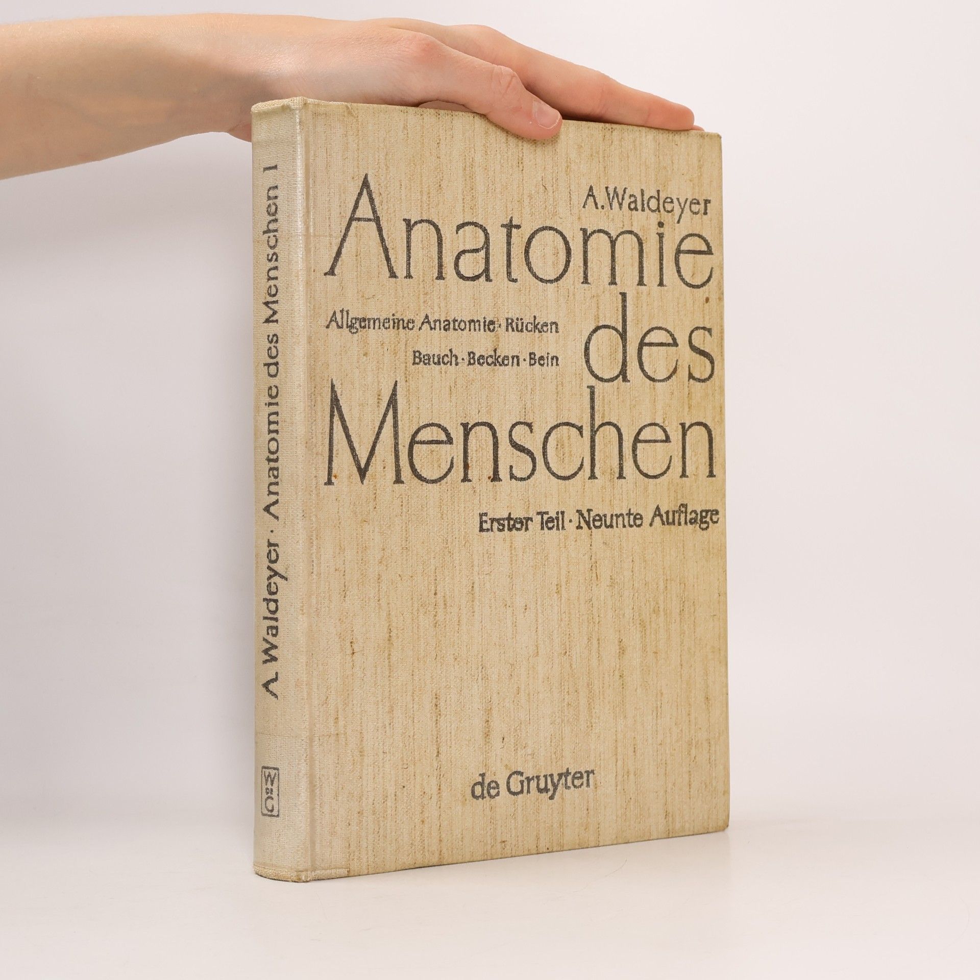 Anatomie des Menschen 1