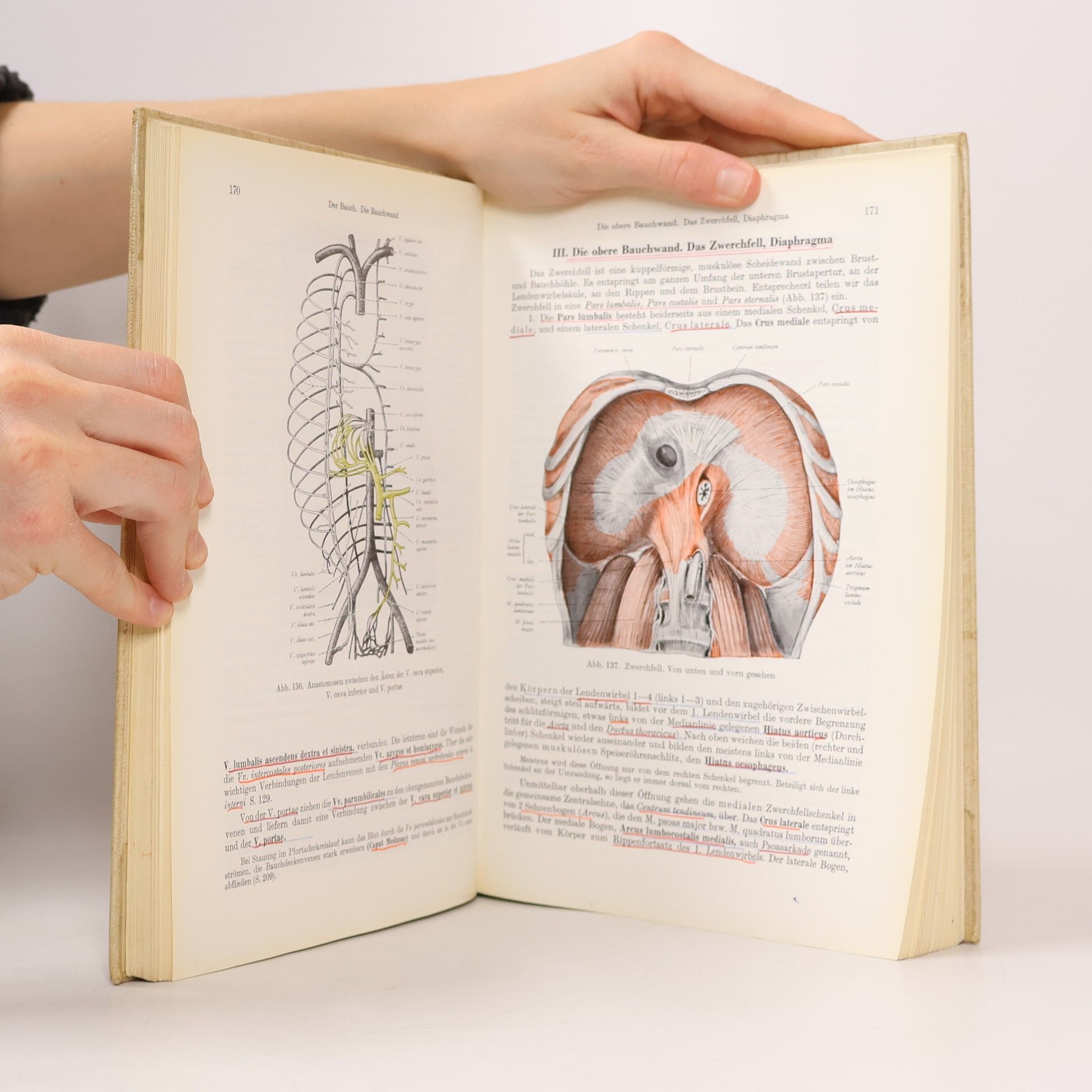 U. Waldeyer Anatomie des Menschen 1