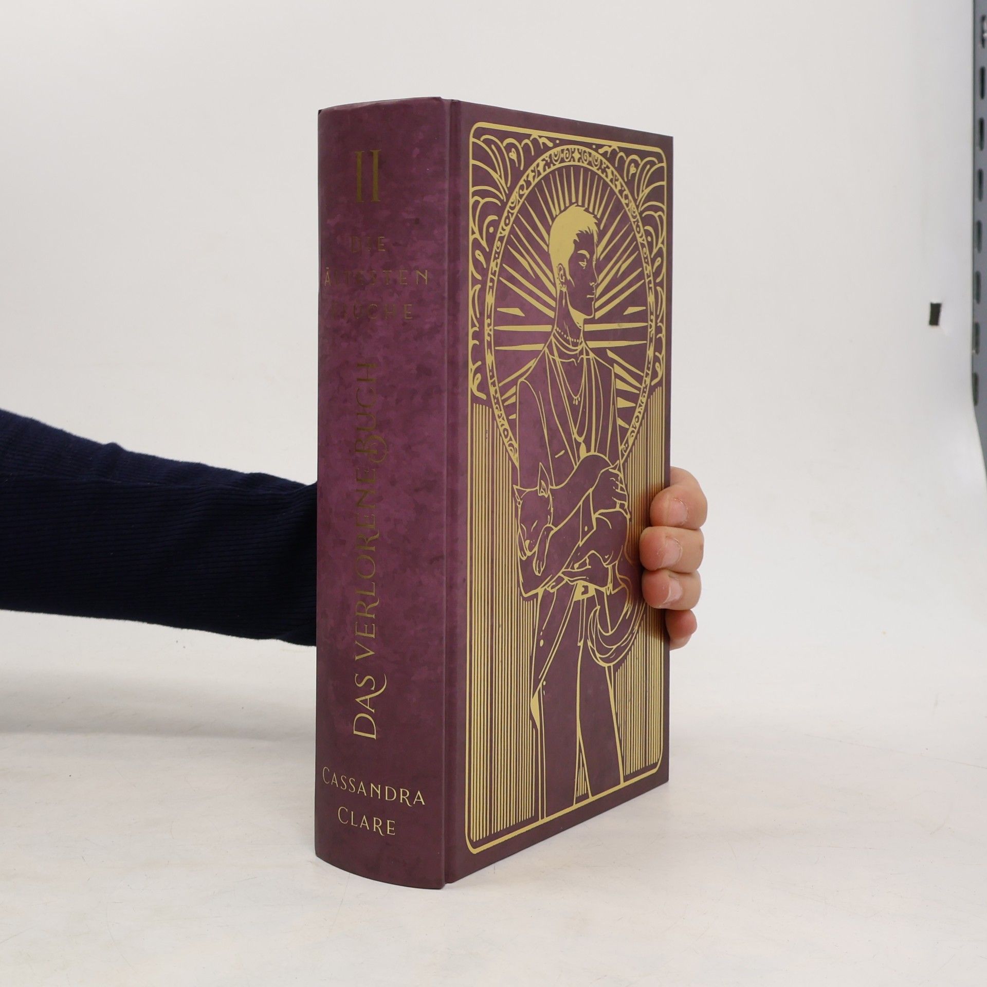 Cassandra Clare Das verlorene Buch