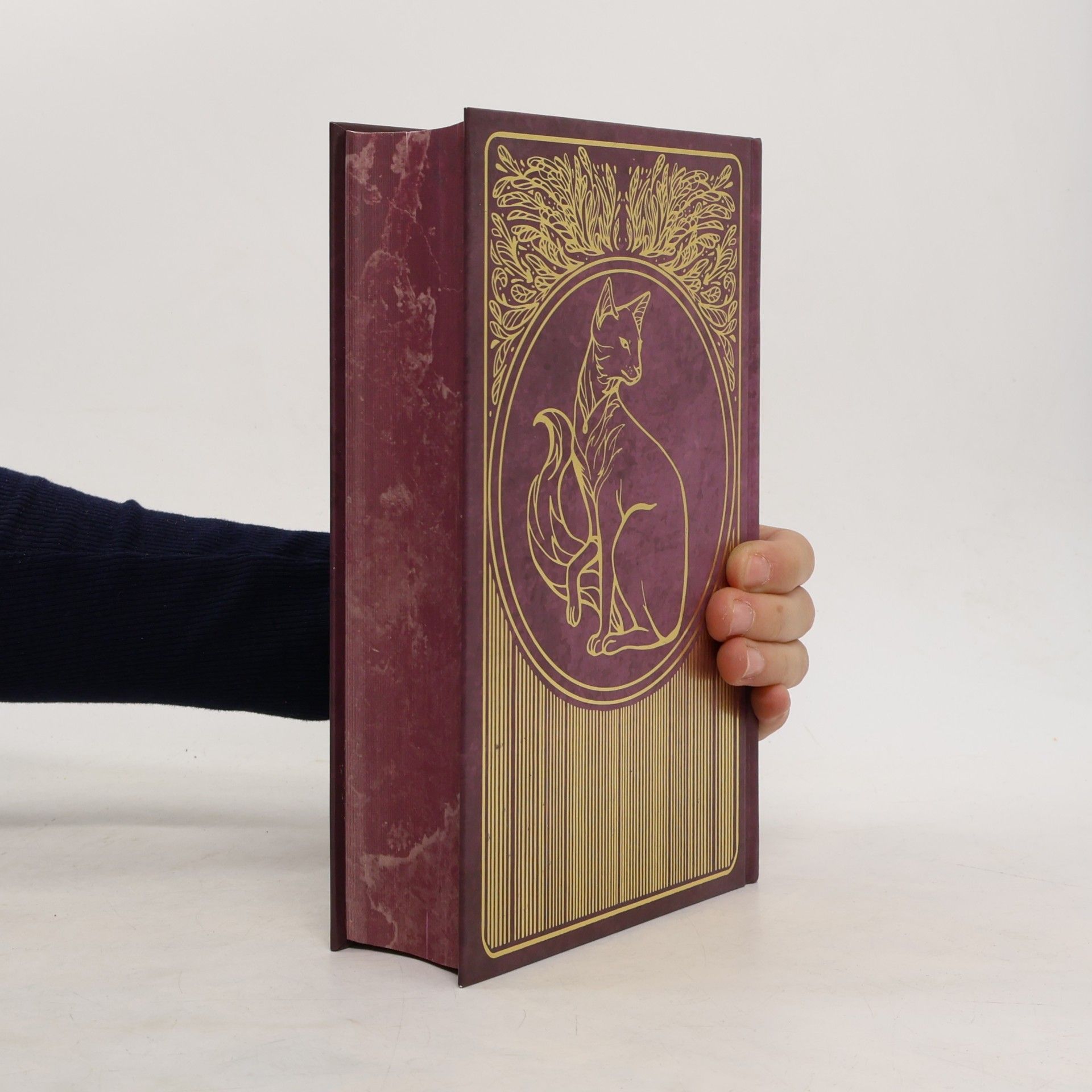 Cassandra Clare Das verlorene Buch