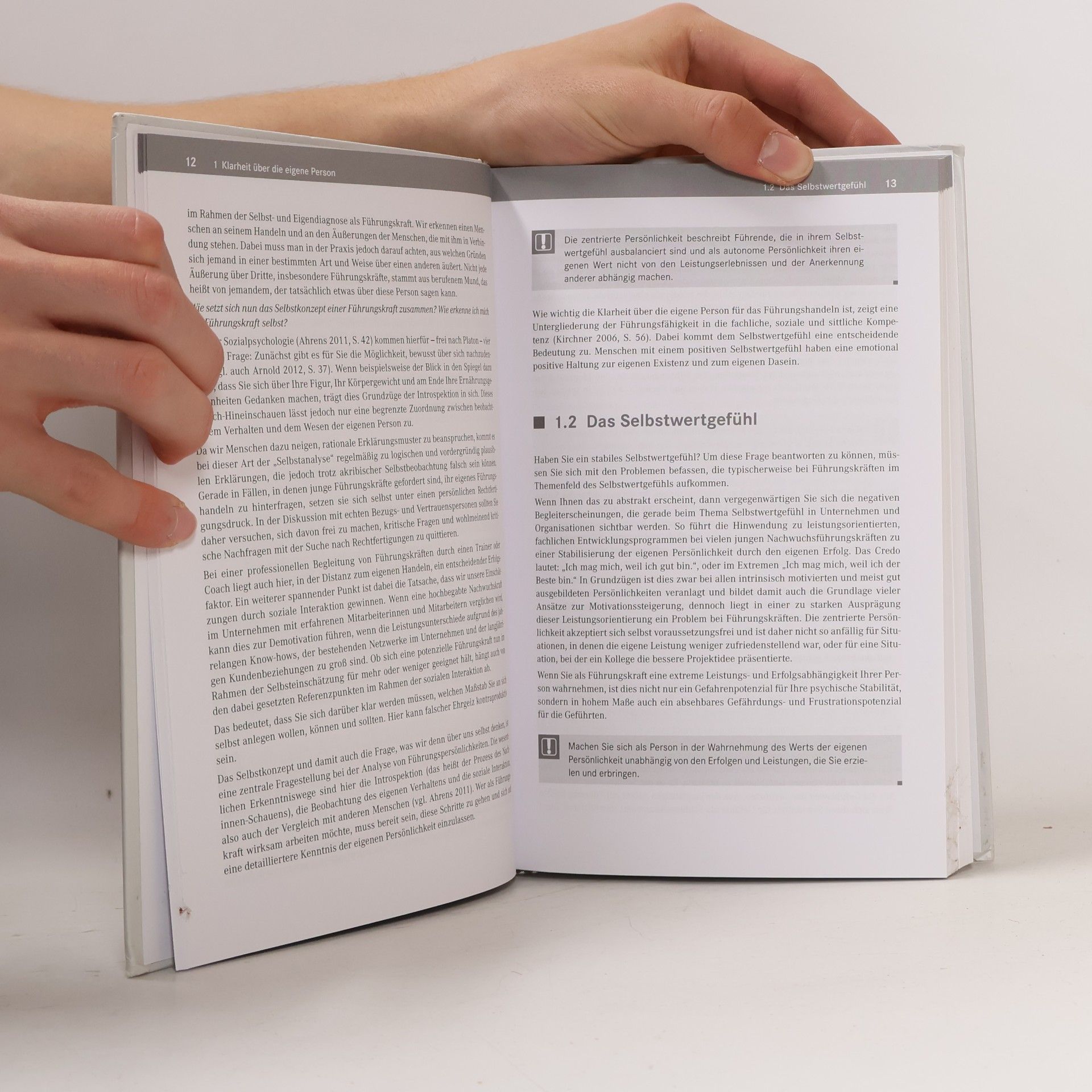 Thomas Breyer-Mayländer Führung braucht Klarheit: Extra: E-Book inside