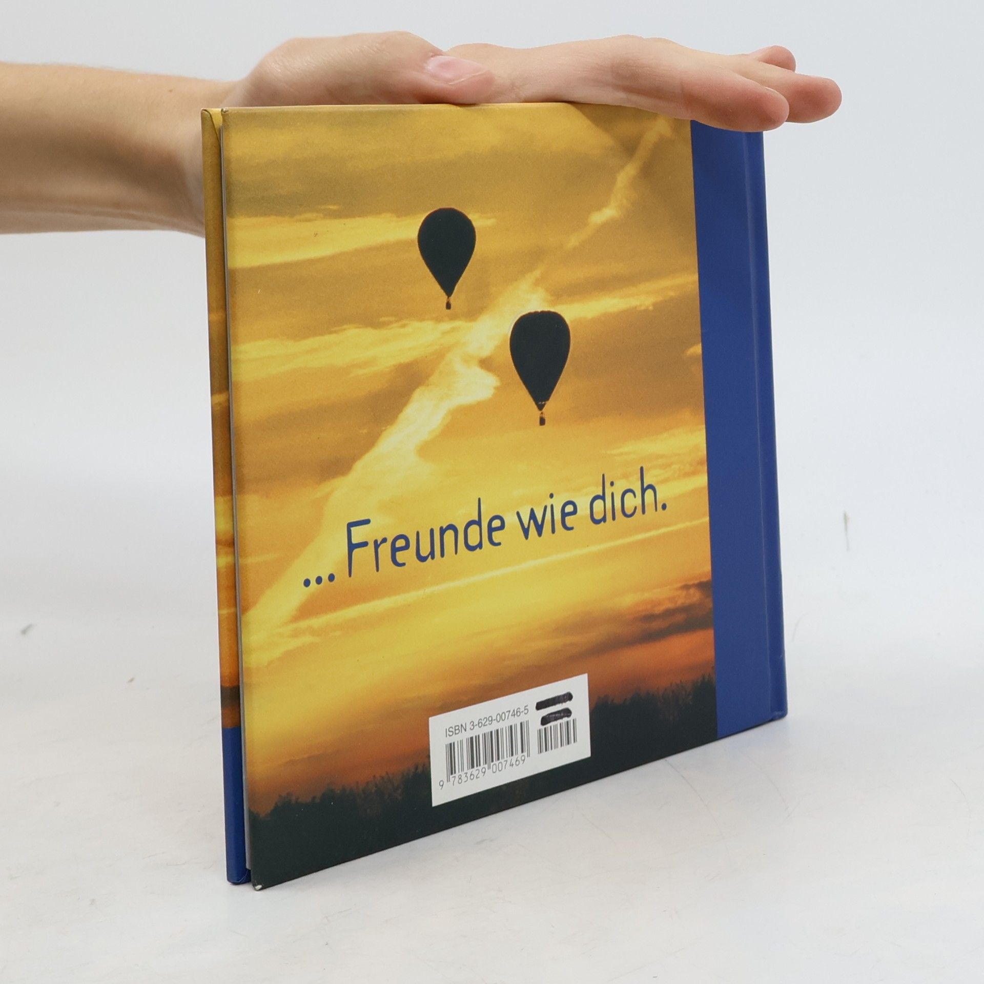 Vera Stein Schön, dass es Freunde gibt ... Freunde wie dich