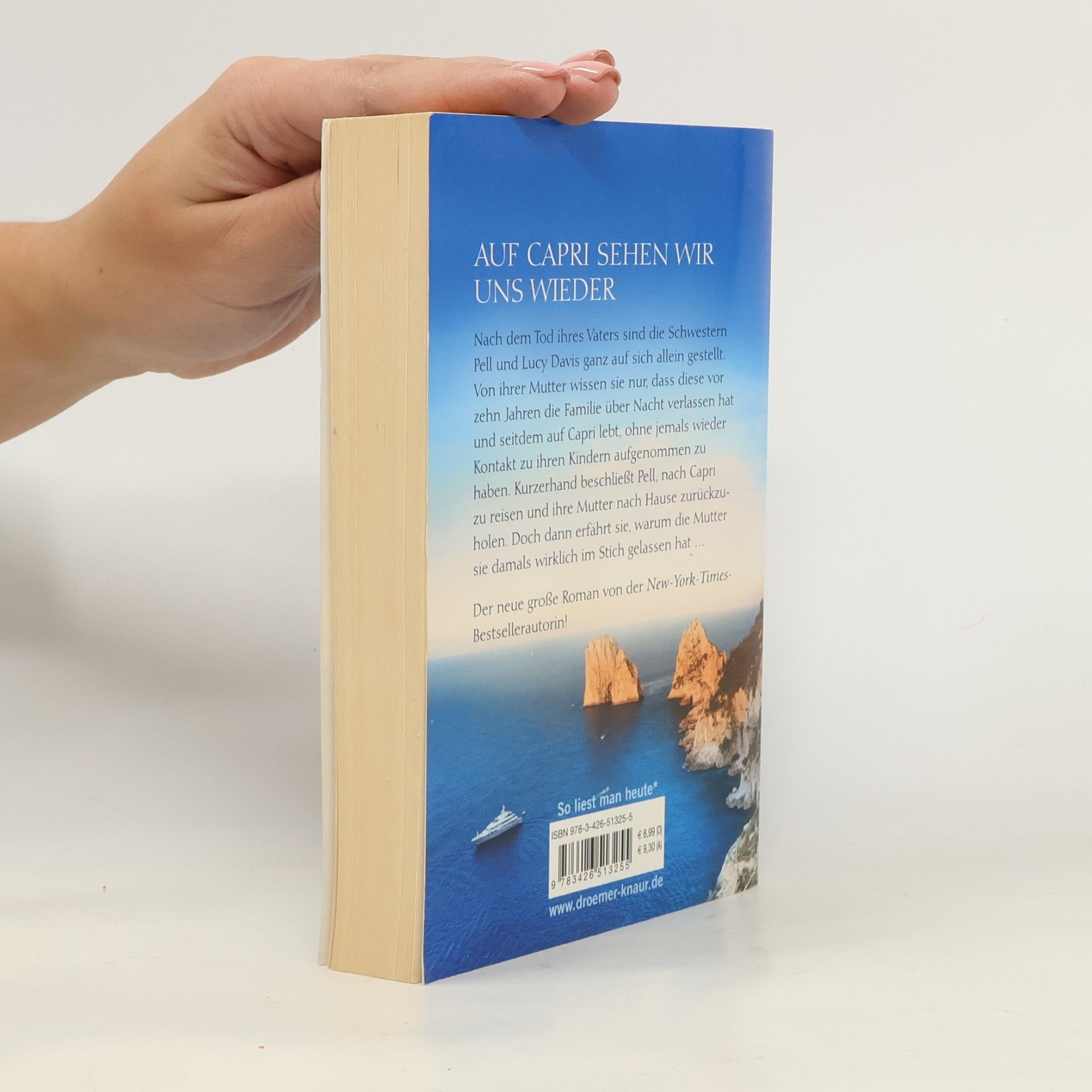 Luanne Rice Die azurblaue Insel