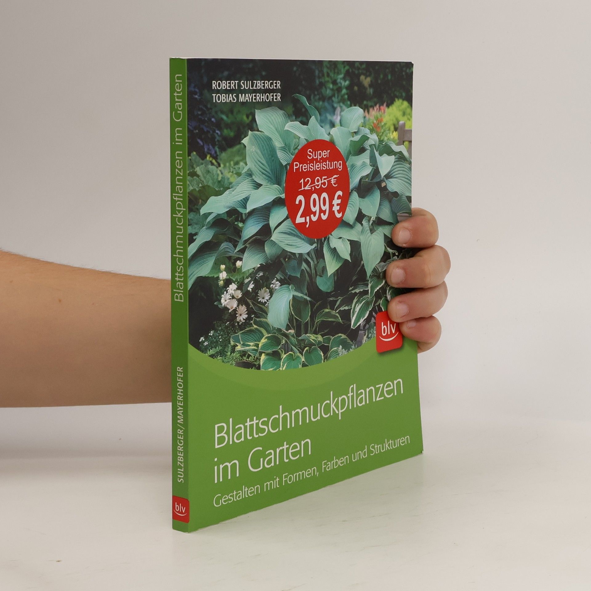 Blattschmuckpflanzen im Garten