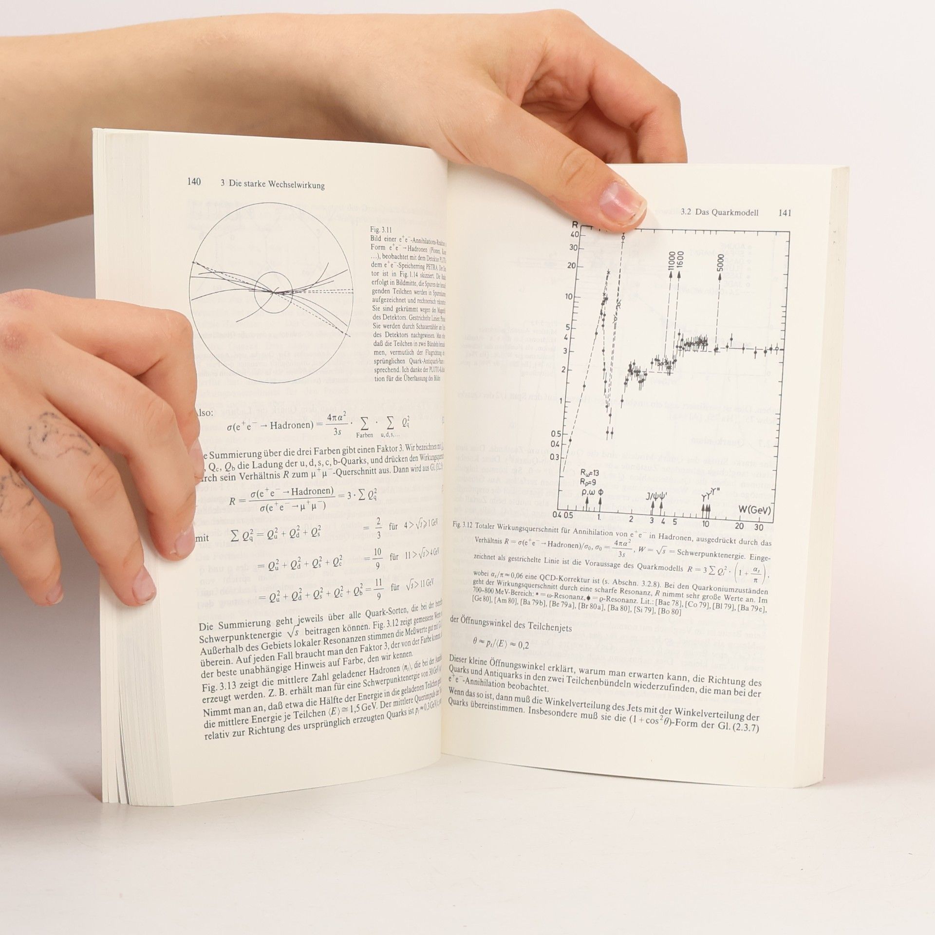 Erich Lohrmann Hochenergiephysik