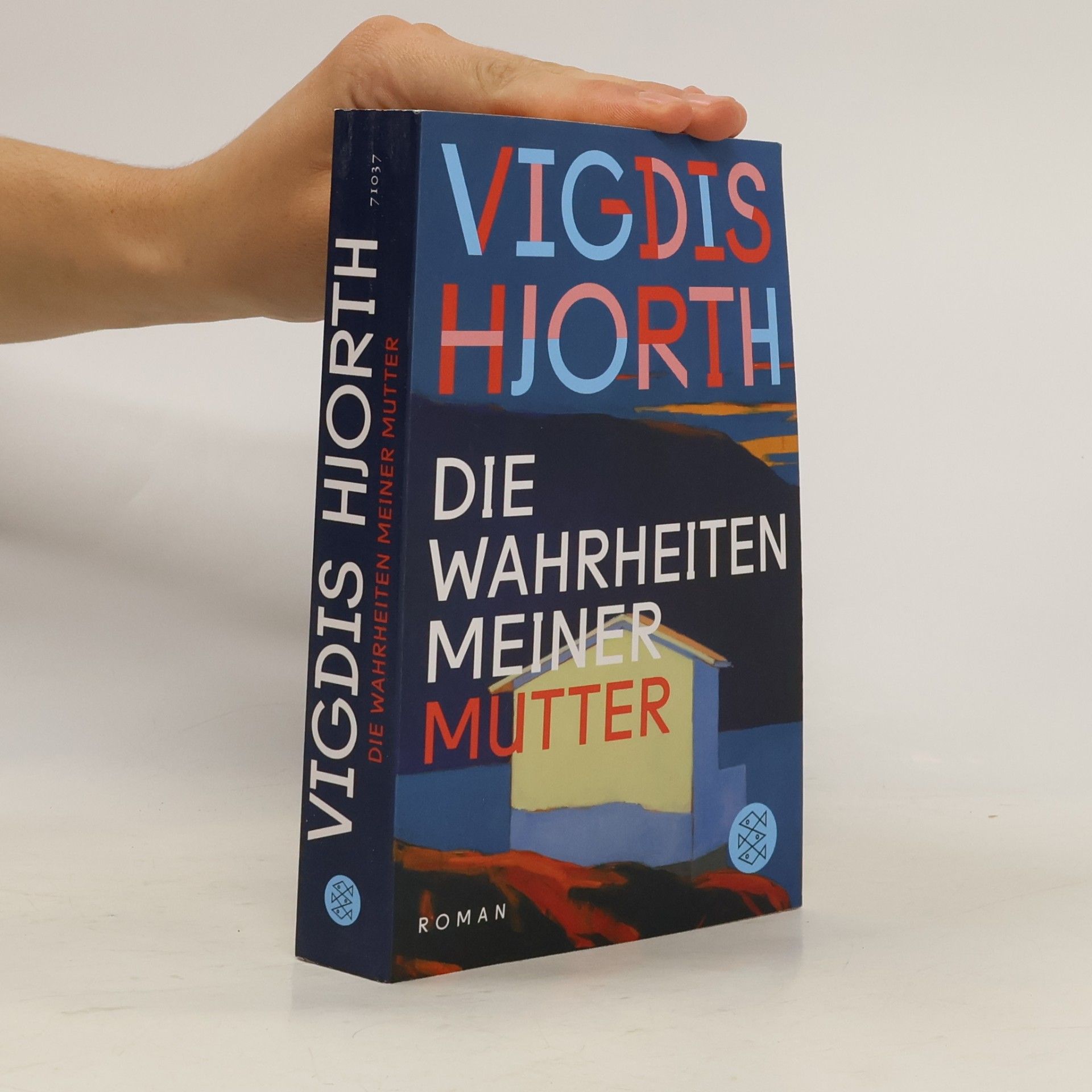 Vigdis Hjorth Die Wahrheiten meiner Mutter