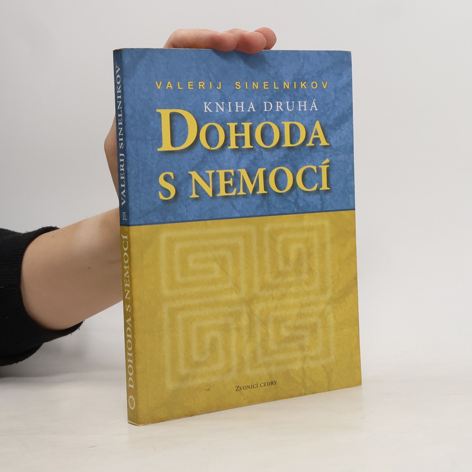 Valerij Vladimirovič Sinelnikov Dohoda s nemocí. Kniha druhá