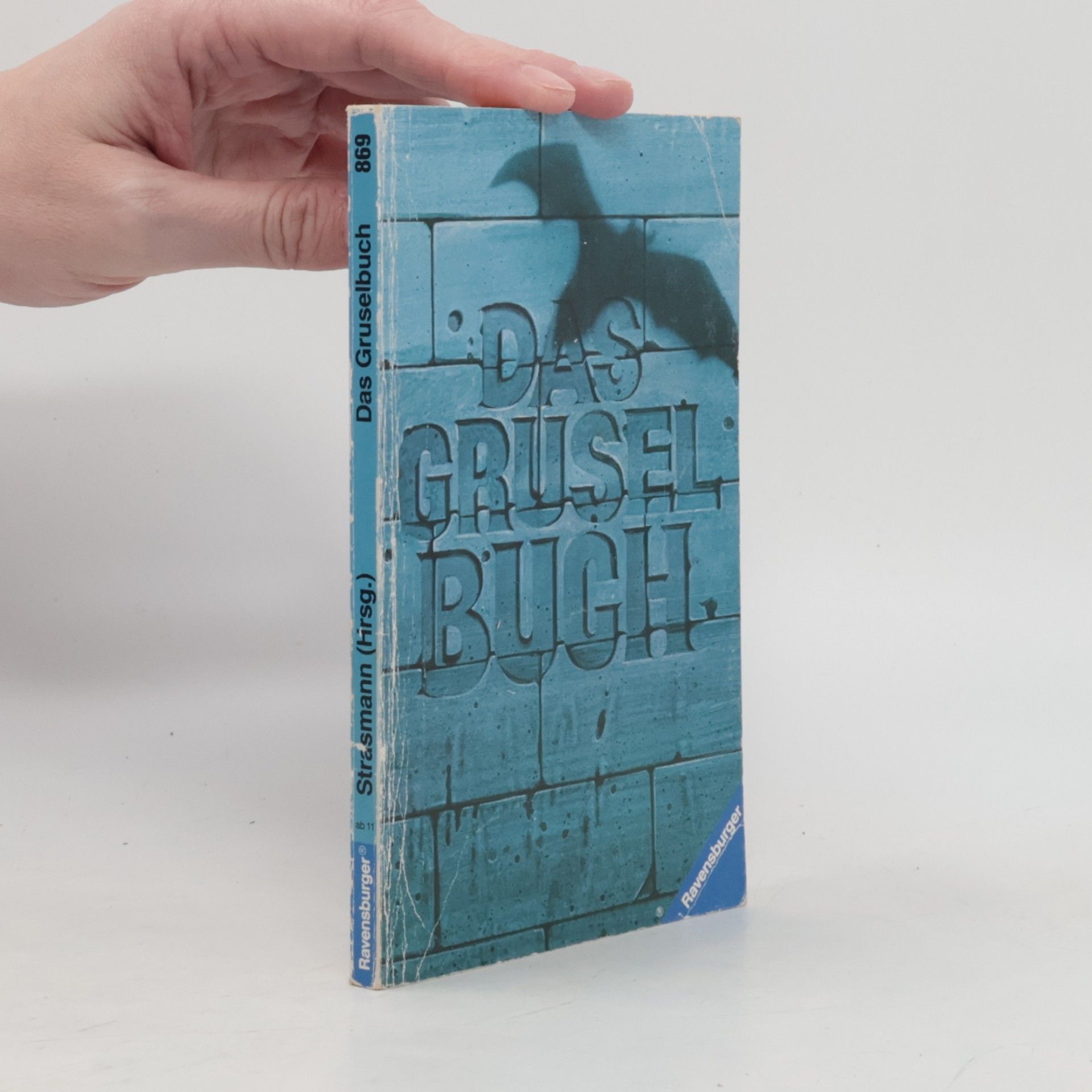 Das Gruselbuch.