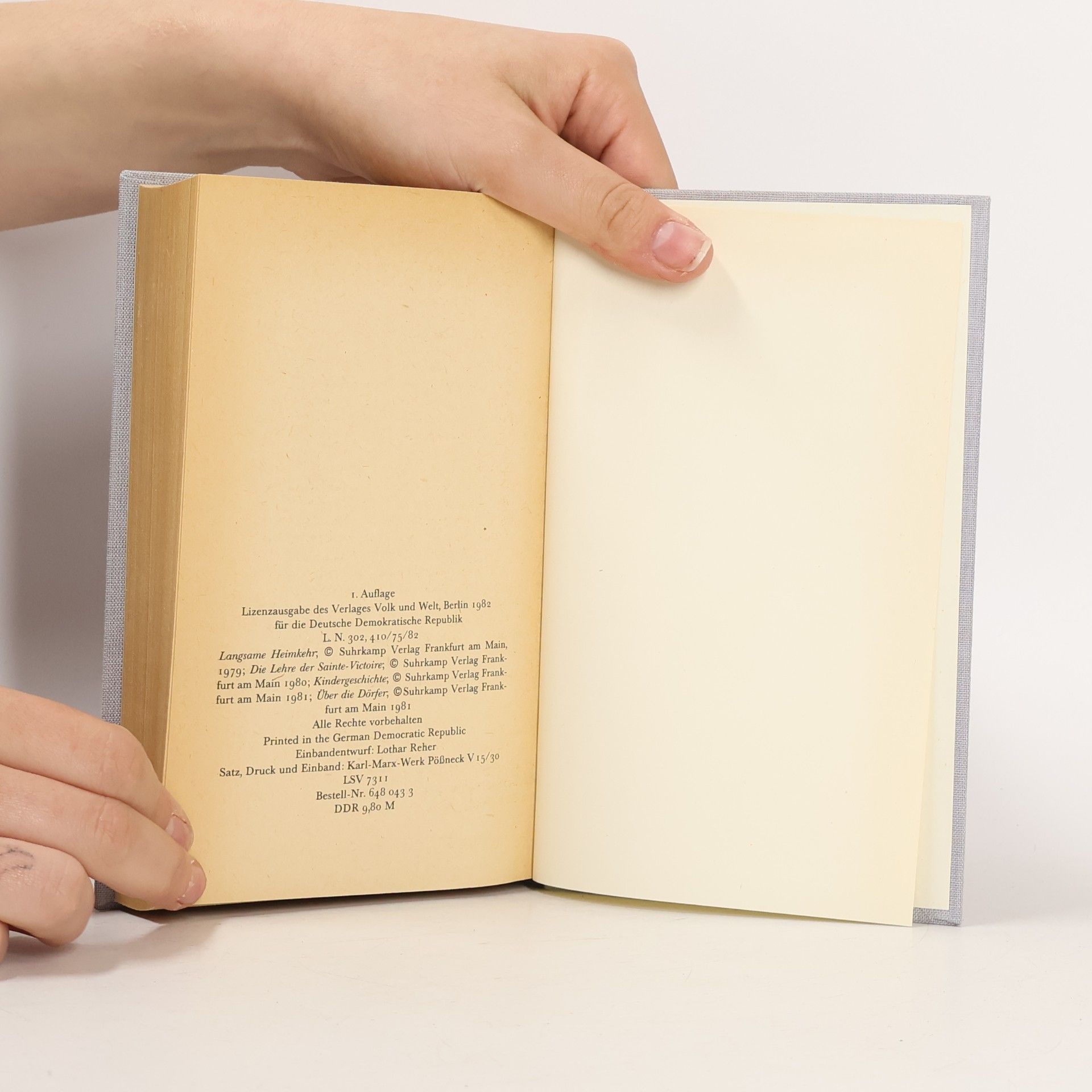Peter Handke Langsame Heimkehr