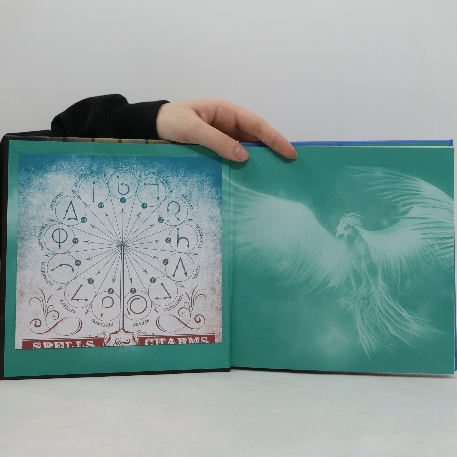 Eva Regine Rauch Harry Potter: die Zaubersprüche - das Handbuch zu den Filmen